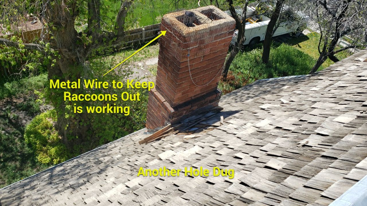 Residential Roofing Installation using GAF Timberline HDZ - Lifetime Shingle by The Roof Doctor