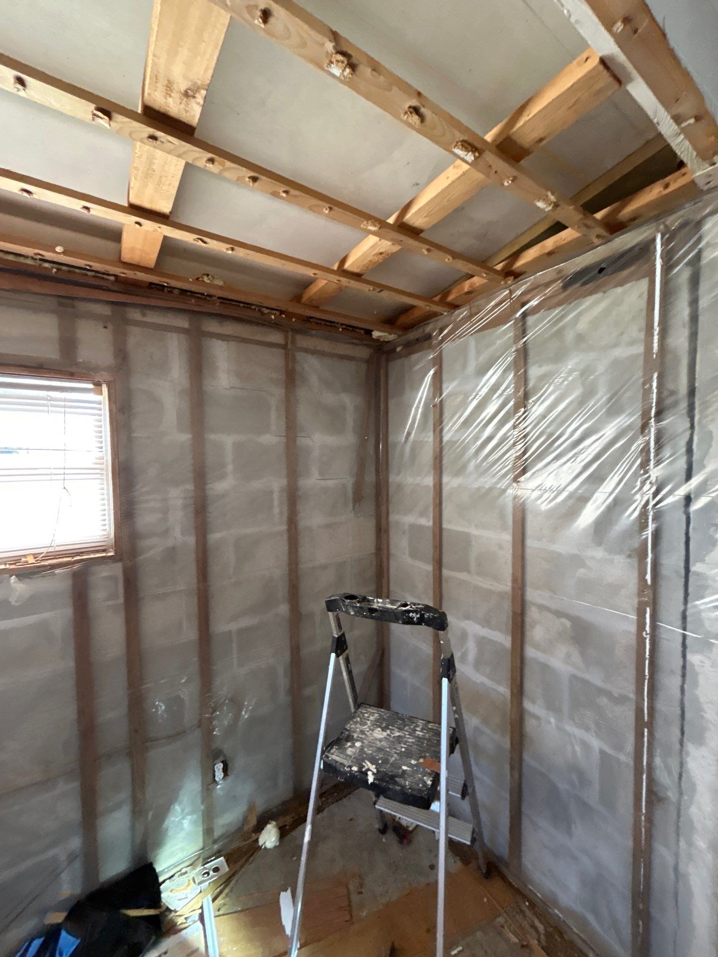 Mold Removal In Bradenton FL  by Ampm Restoration Services 