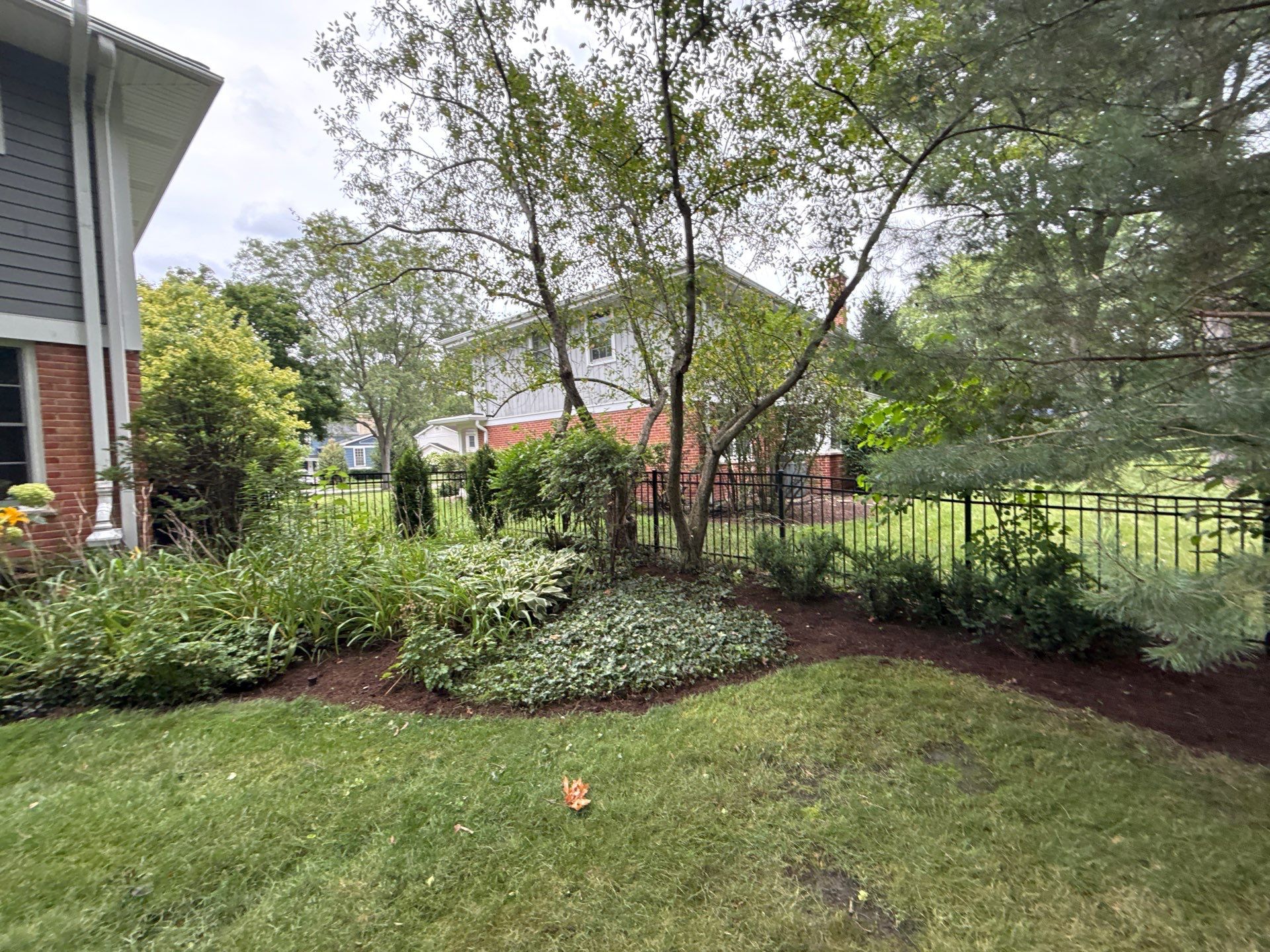 Christopher B. - Glenview, IL by A&N