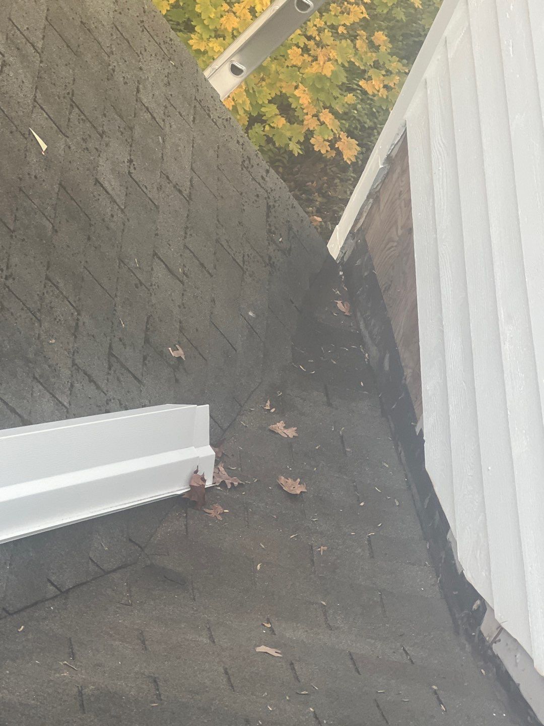 Arlington: Bevel Cedar Wood Siding Restoration by RM Banning, Inc.