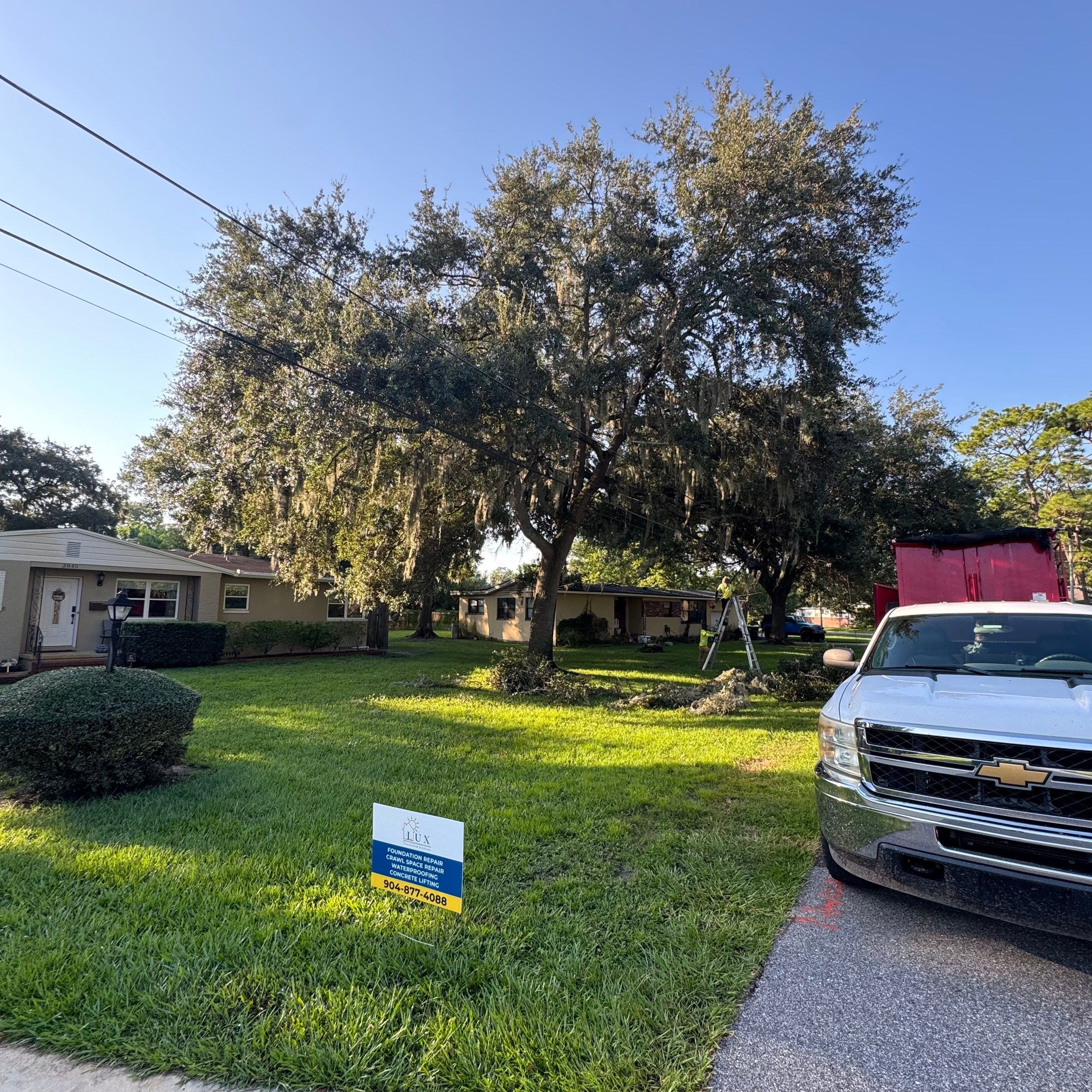 Residential | Tree Trimming  by ProGreen Services