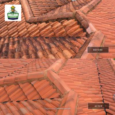 Terracotta Barrel Tile Roof Cleaning for Windermere Residence