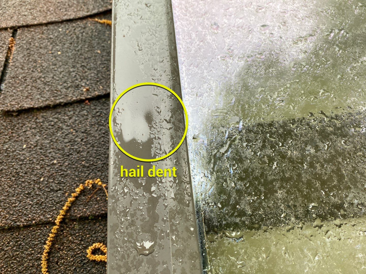 Arlington: CertainTeed Landmark Pro Designer Shingles in Max Def Shenandoah by RM Banning, Inc.