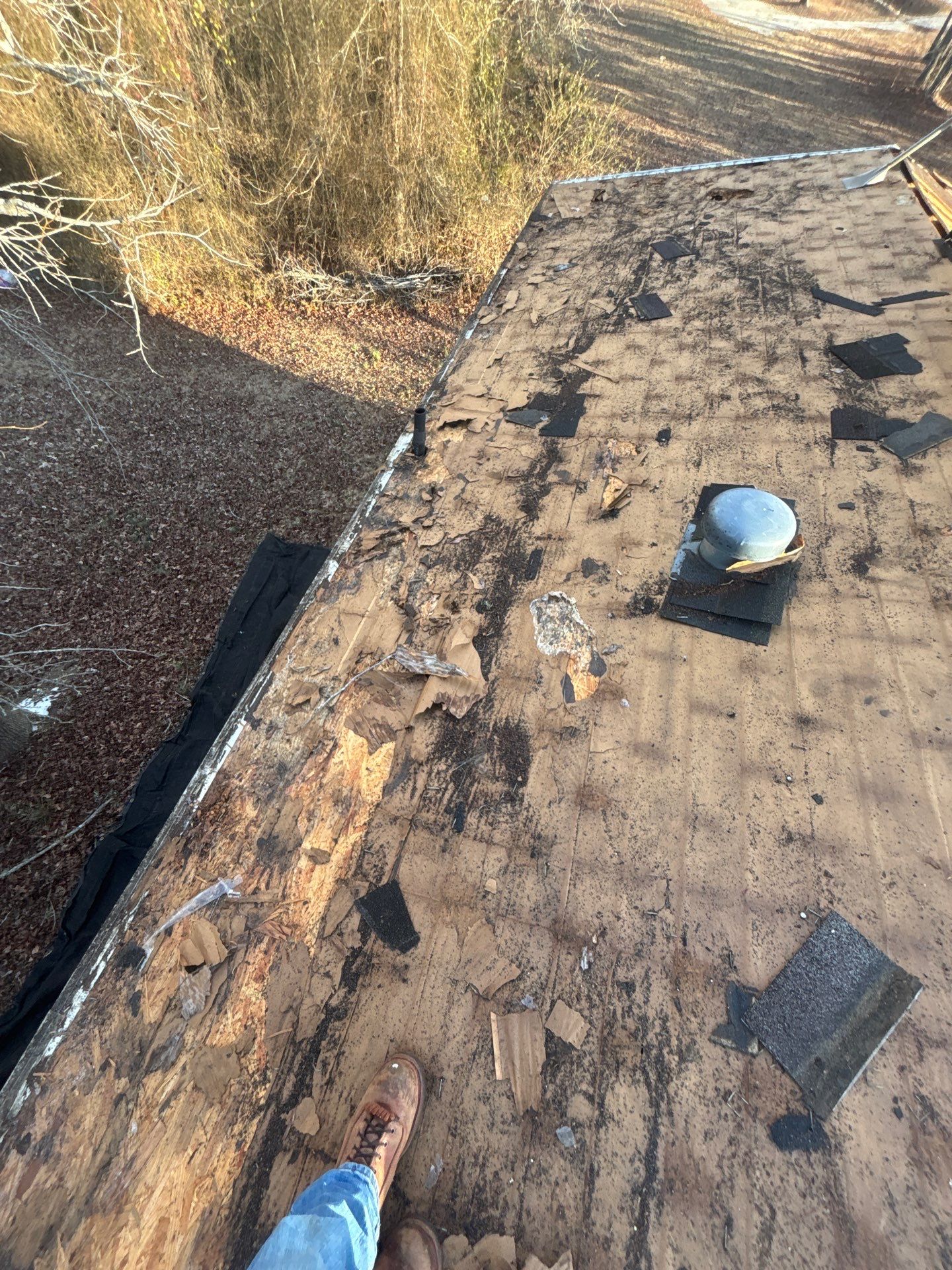 Roof Replacement in Waterloo, SC | New CertainTeed XT 25 Nickel Gray Shingles by Roofers LLC
