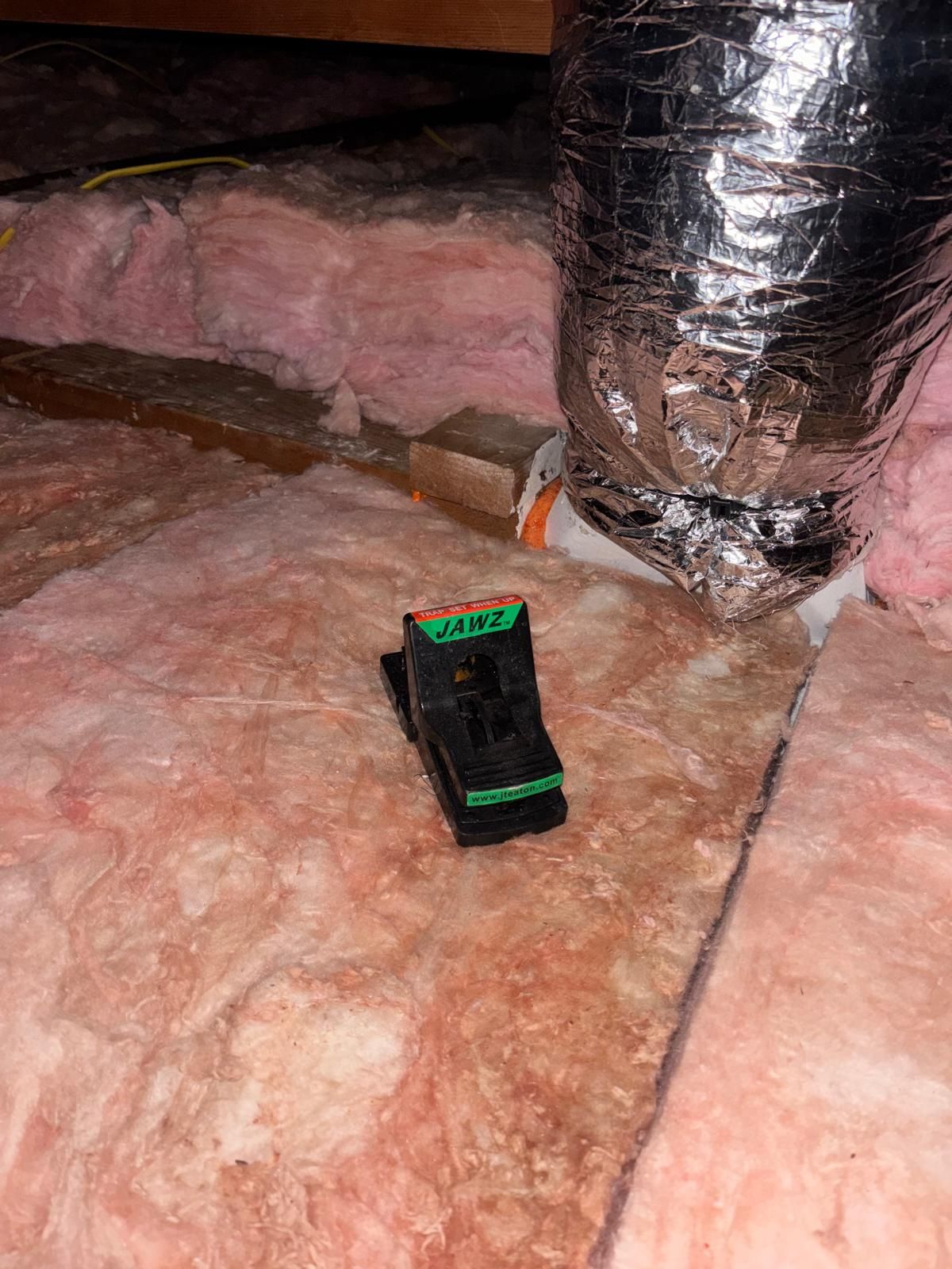 Project in La Puente by Insulation Labs