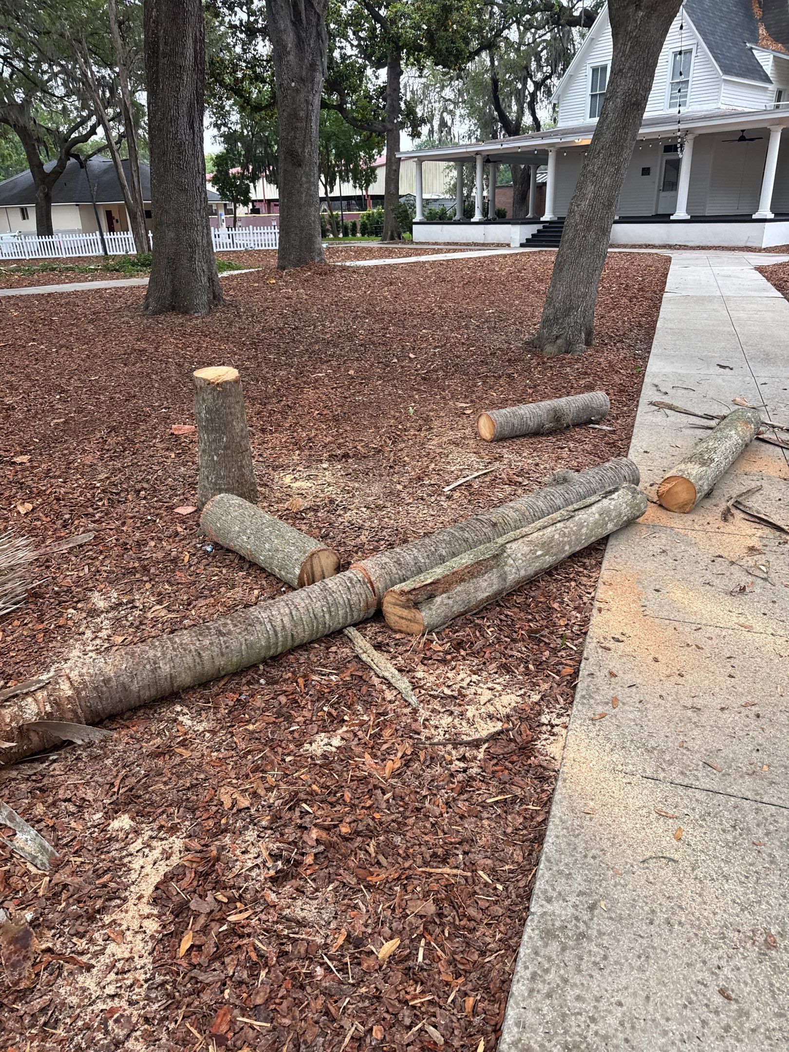 Episcopal School of Jacksonville | Tree Service by ProGreen Services