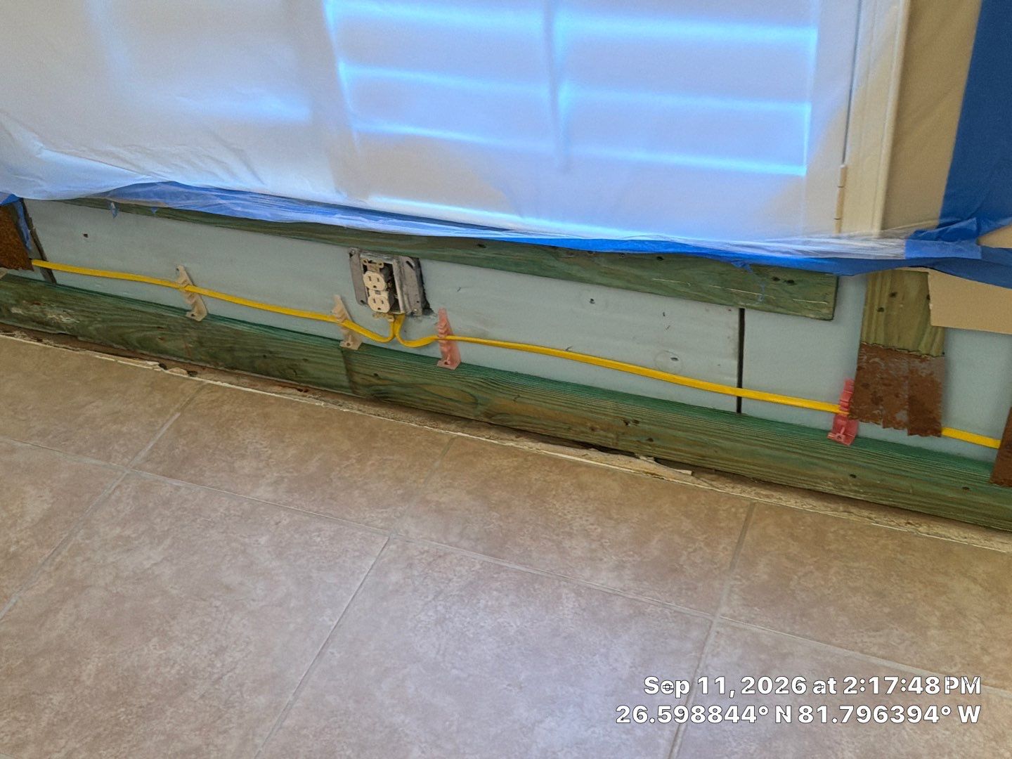 Fort Myers Water Damage Restoration and Professional Mold Remediation by Microscope