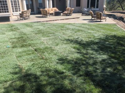 Project in Placerville