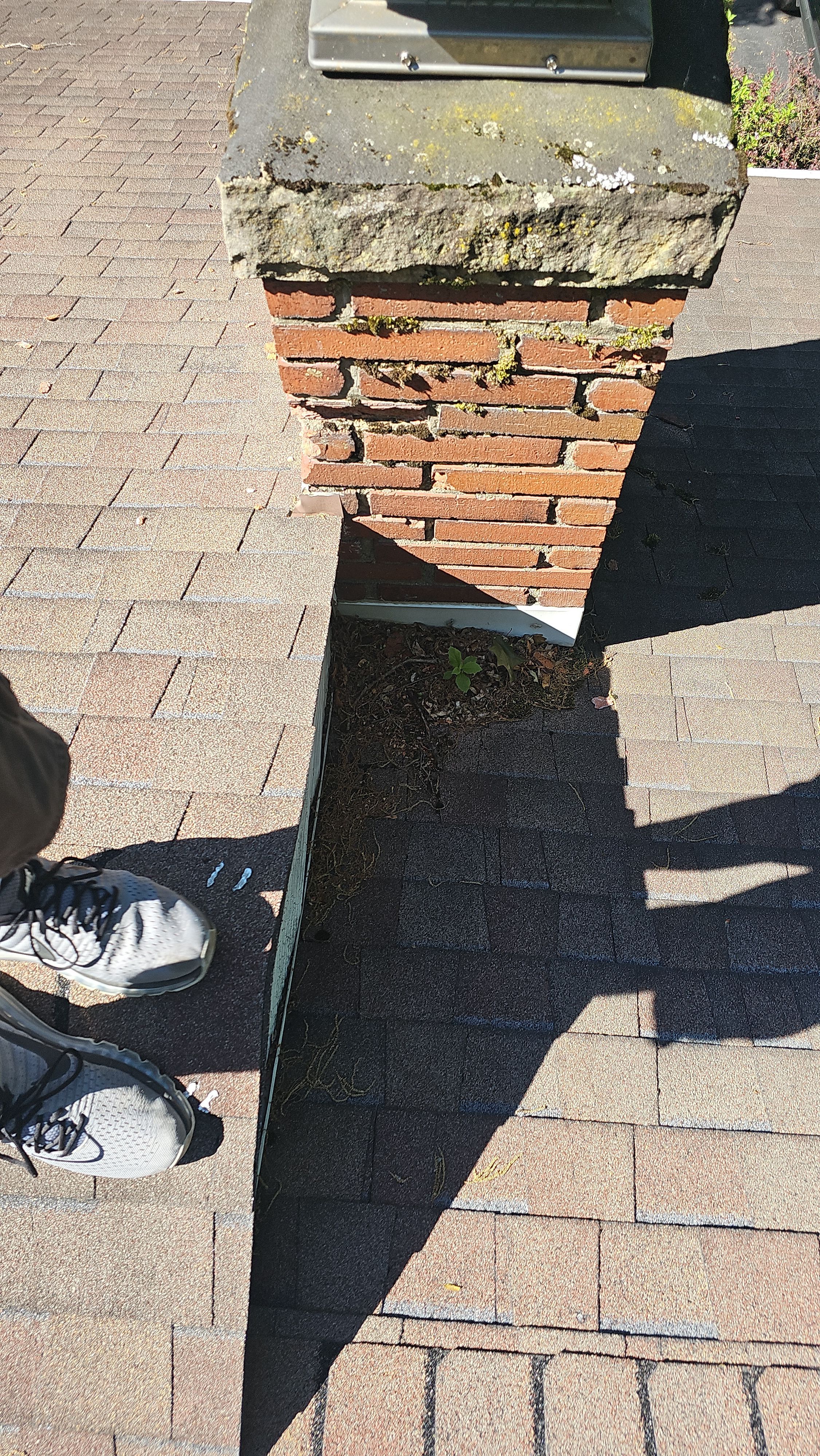 Atlas Pinnacle, Color, Woodland Green, Drip Edge, Color, White by Eagle Eye Roofing