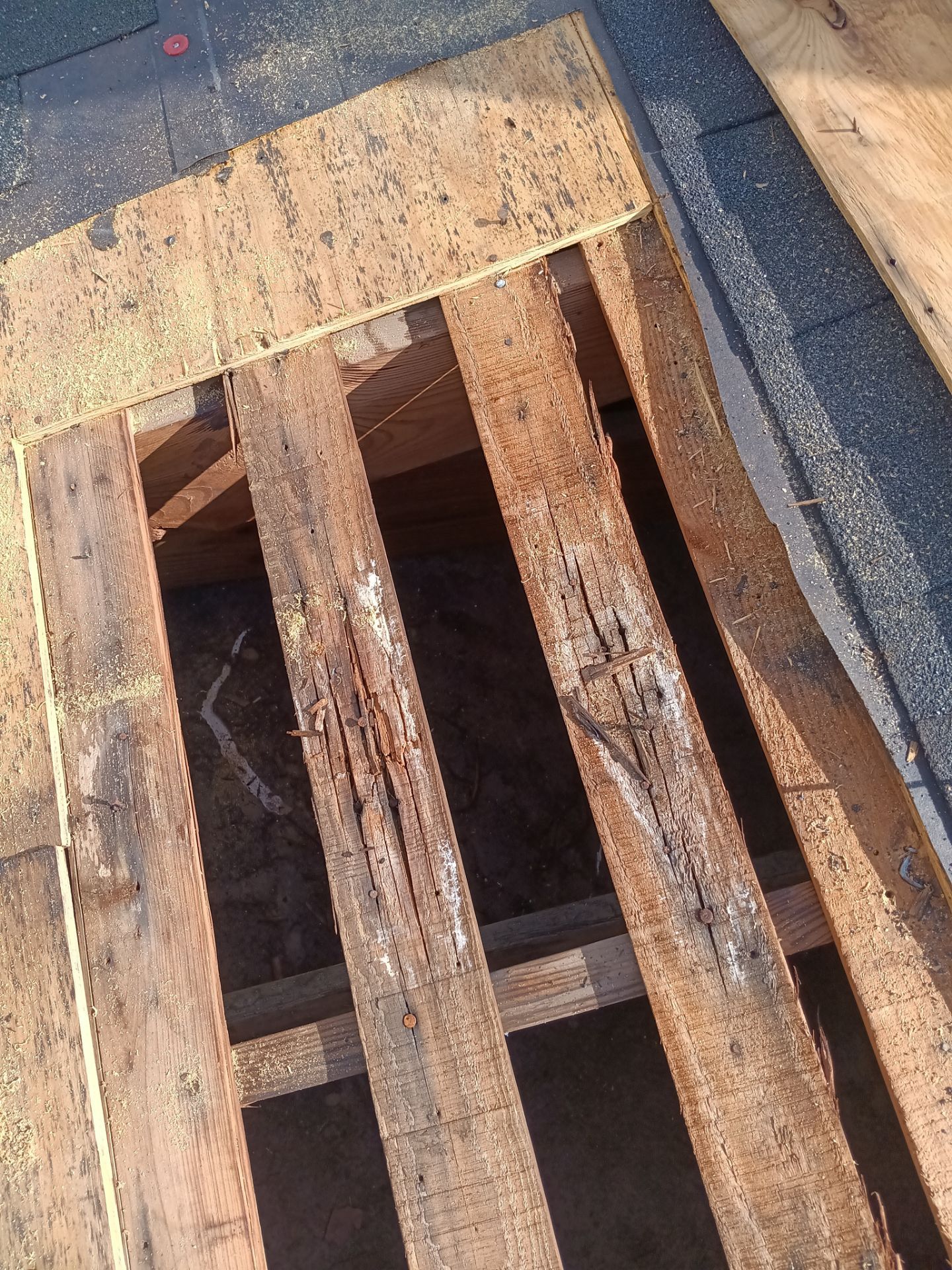 Residential Roofing Repair using Owen's Corning Duration (Lifetime) Shingles by Roof Repair Company