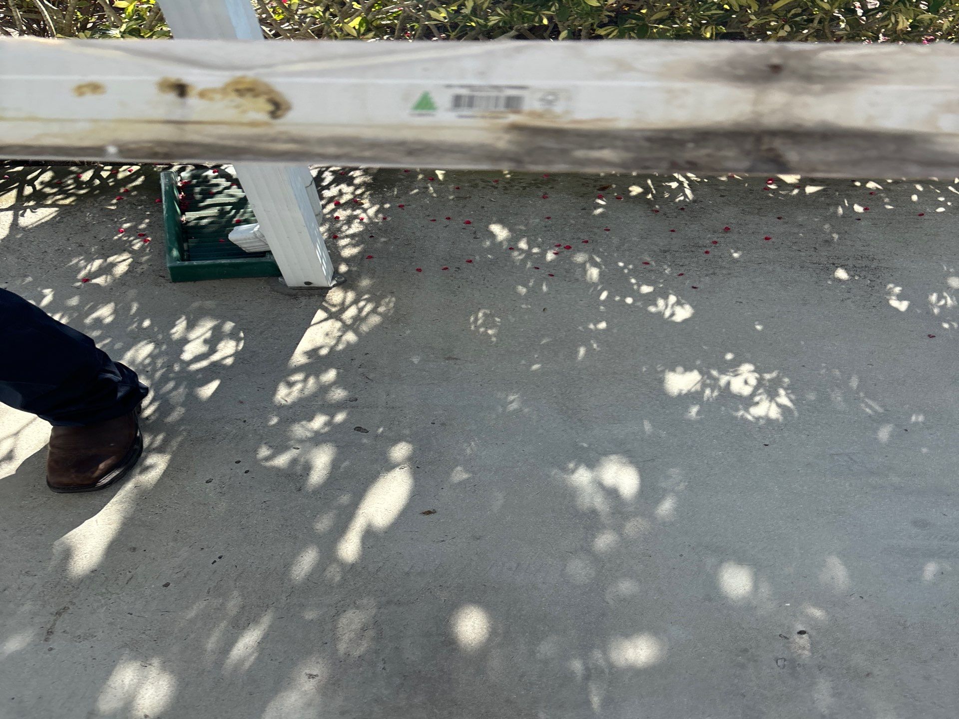 Mold Remediation Palmetto by Ampm Restoration Services 