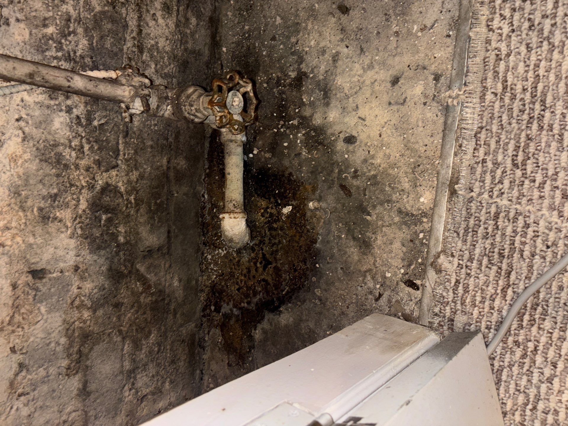 Project in Washington,DC by Greenspring Construction Services