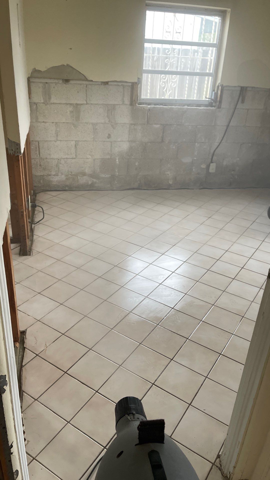 Mold Remediation  by THE RAPID TEAM