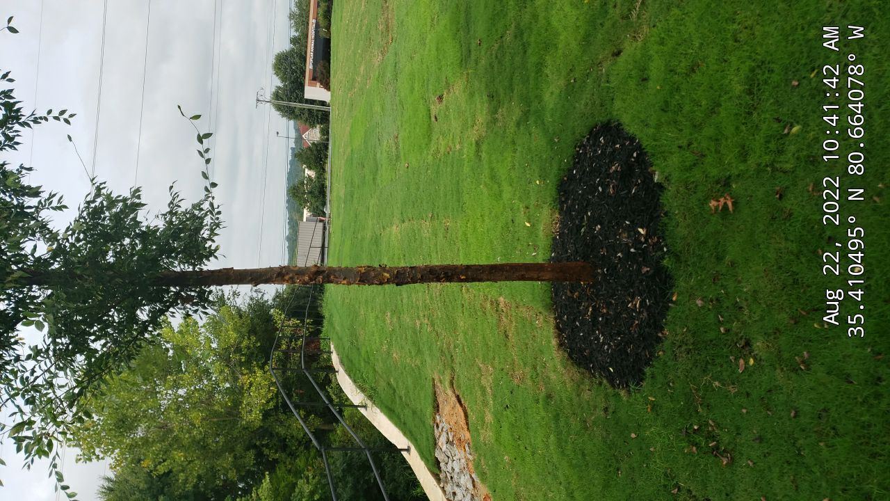 Commercial Landscaping Harris Teeter Fuel Station by Carolina-Metro Landscape, Inc