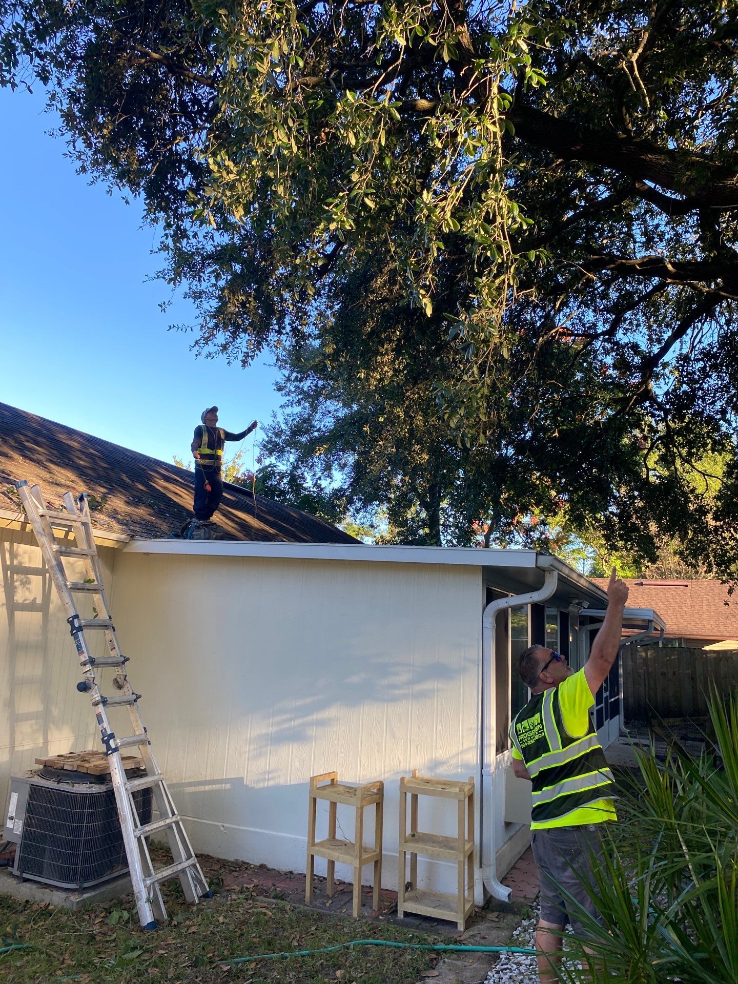 Tree Trimming | Residential by ProGreen Services