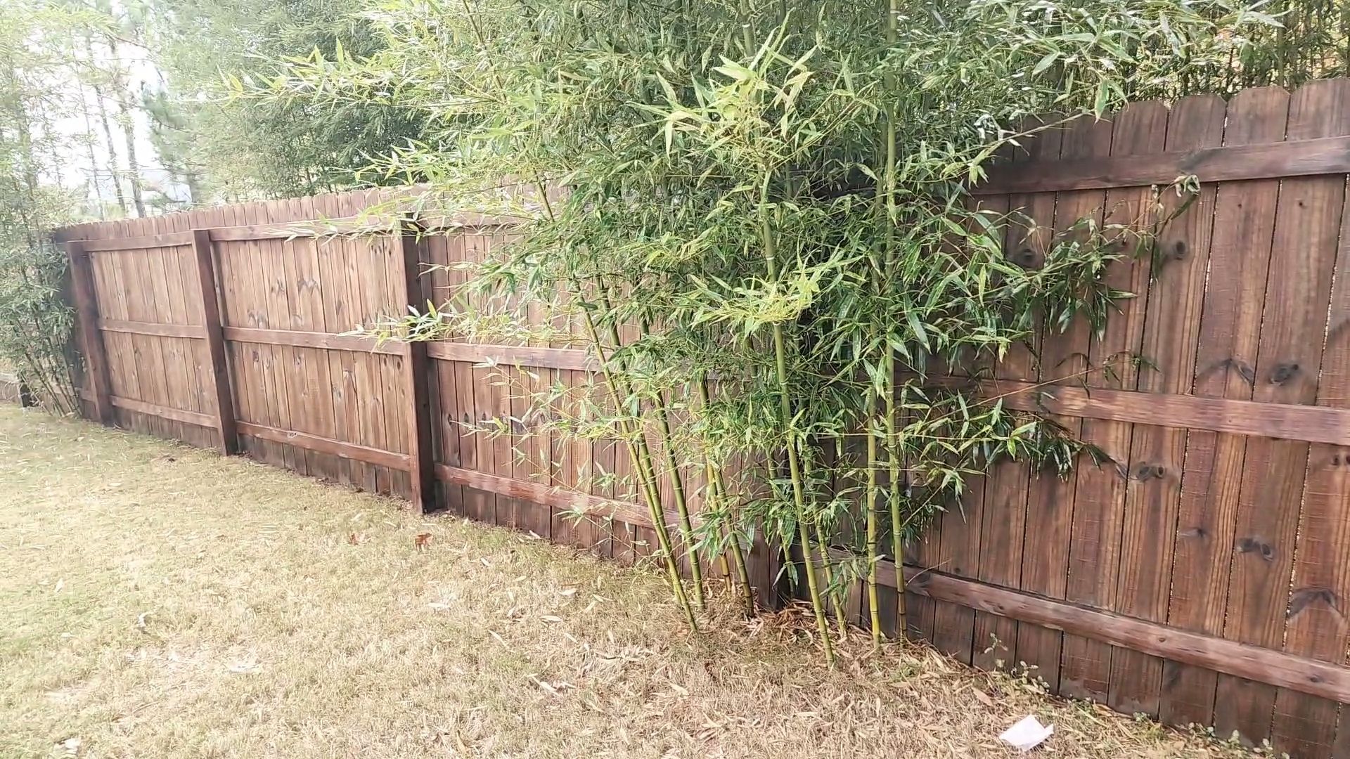 Fence Stained using Pecan Semi-Transparent by SSE by Titans of Timber Fence & Stain