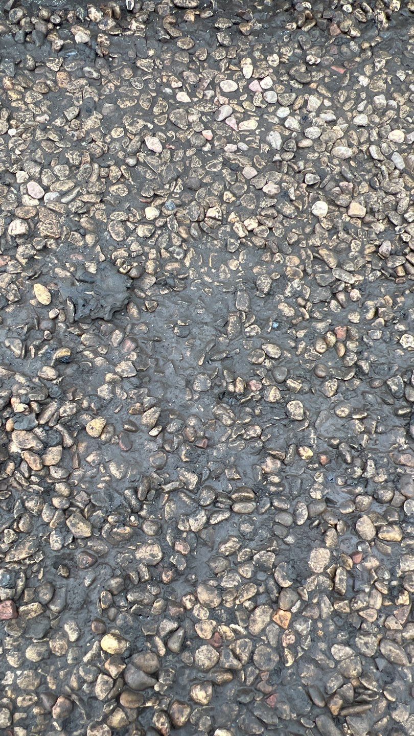 Foam & Metal Roof Restoration – Thermo Sensors (Garland, TX) by All Star Roofing LLC