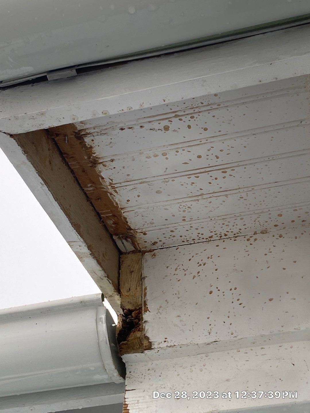 East Beach 24th Bay St by AKK Painting LLC