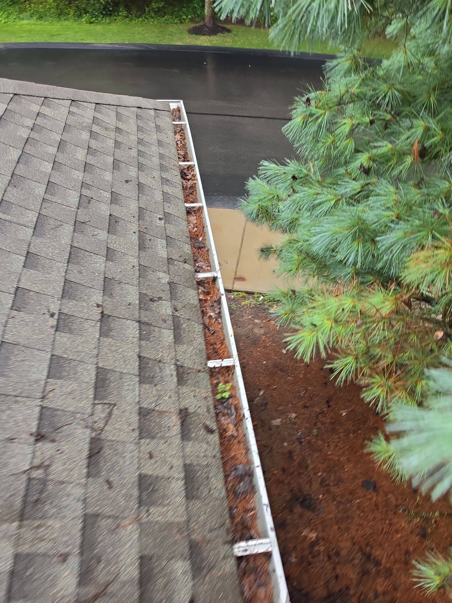 Commercial gutter cleaning Youngstown, OH	 before photo with filled gutters