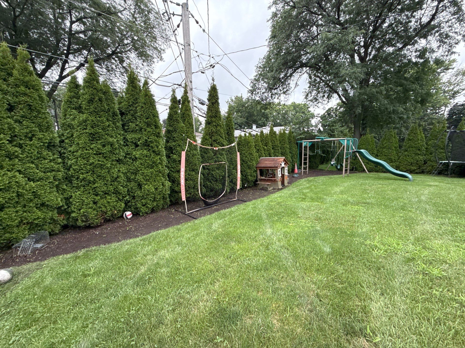 Renee K. - Mount Prospect, IL by A&N 