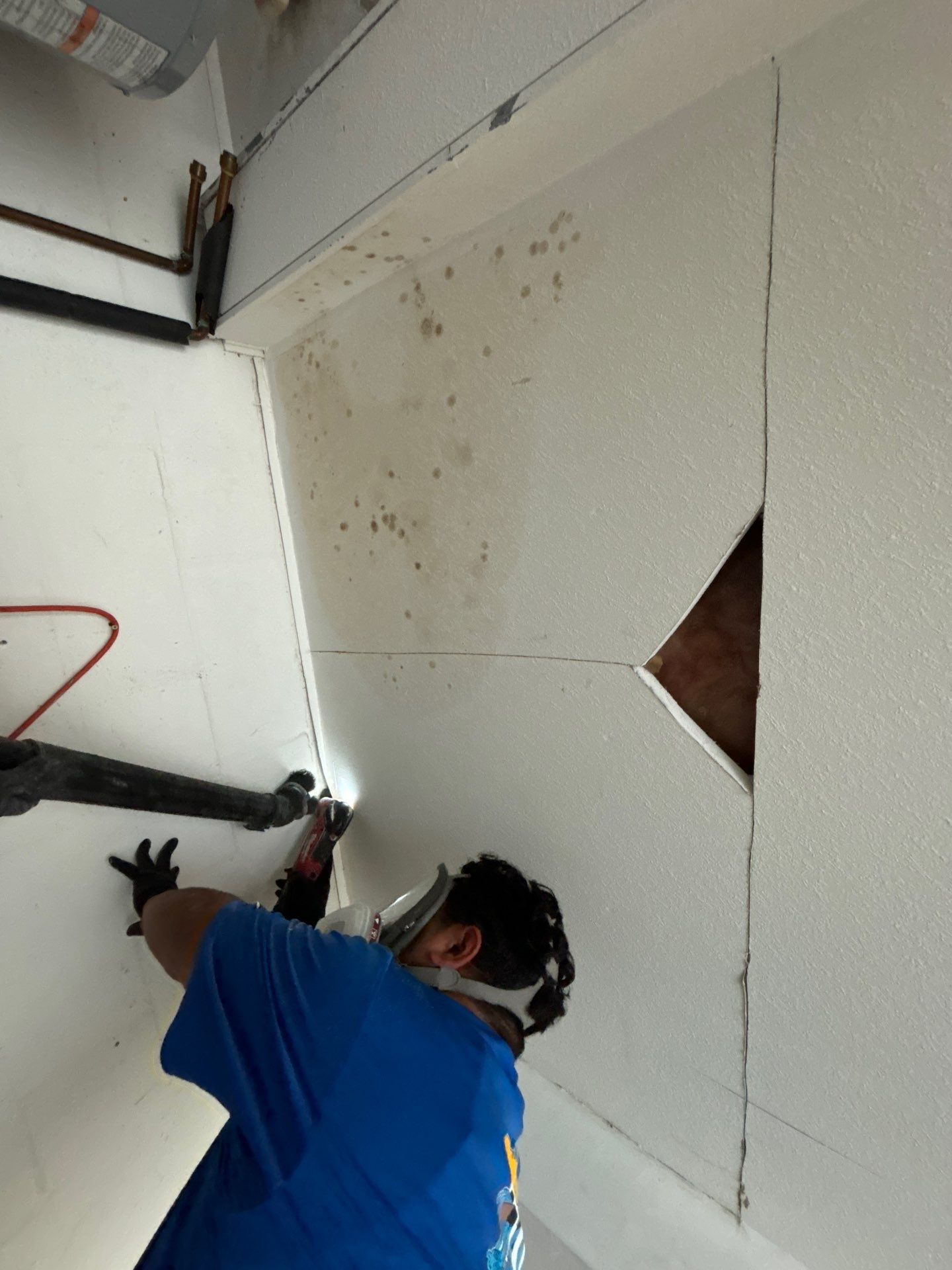 Treasure Island Restoration by Ampm Restoration Services