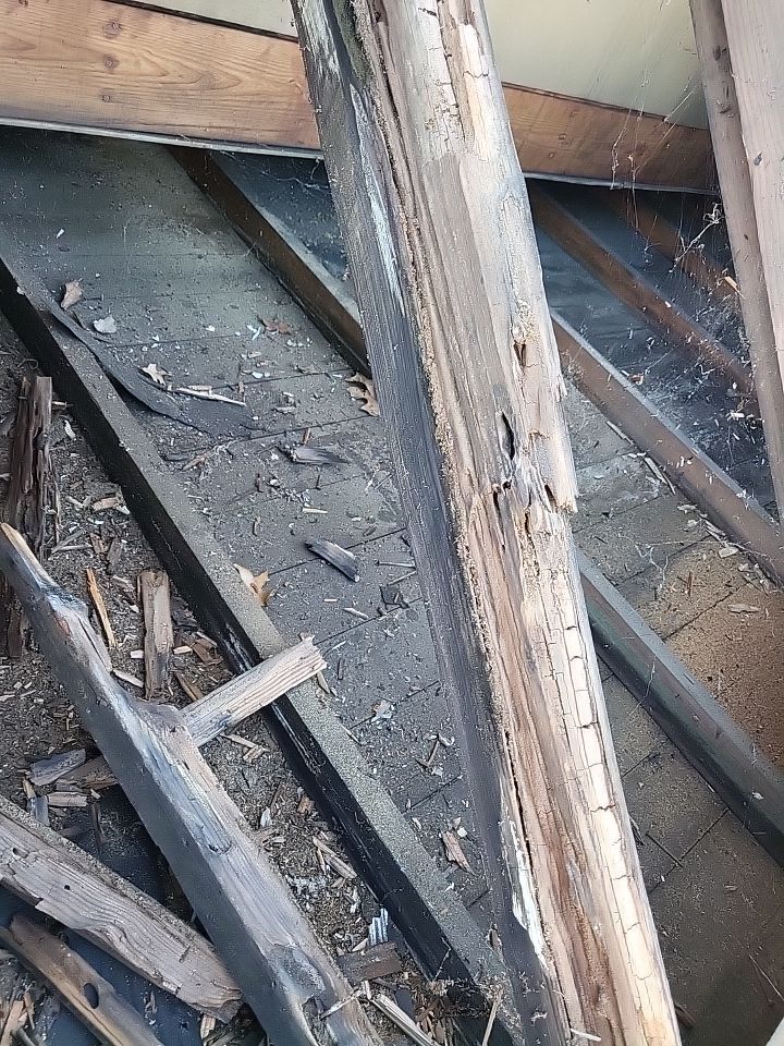 ATLAS PINNACLE COLOR: SCOTCHGARD COASTAL GRANITE DRIP EDGE: WHITE by Eagle Eye Roofing