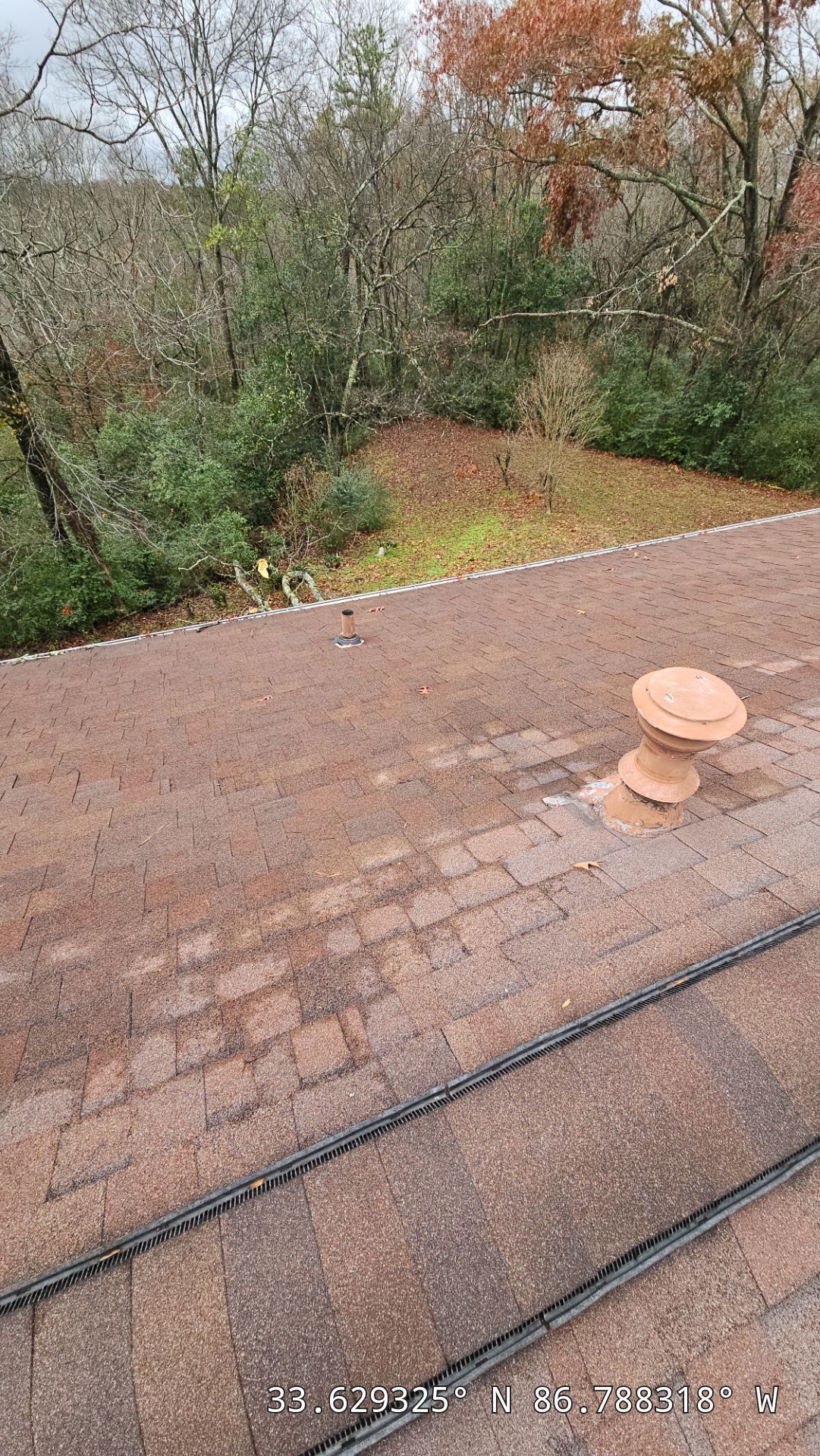 Roof Replacement (Barkwood) and Tree Removal in Birmingham  by The Roofing Dudes