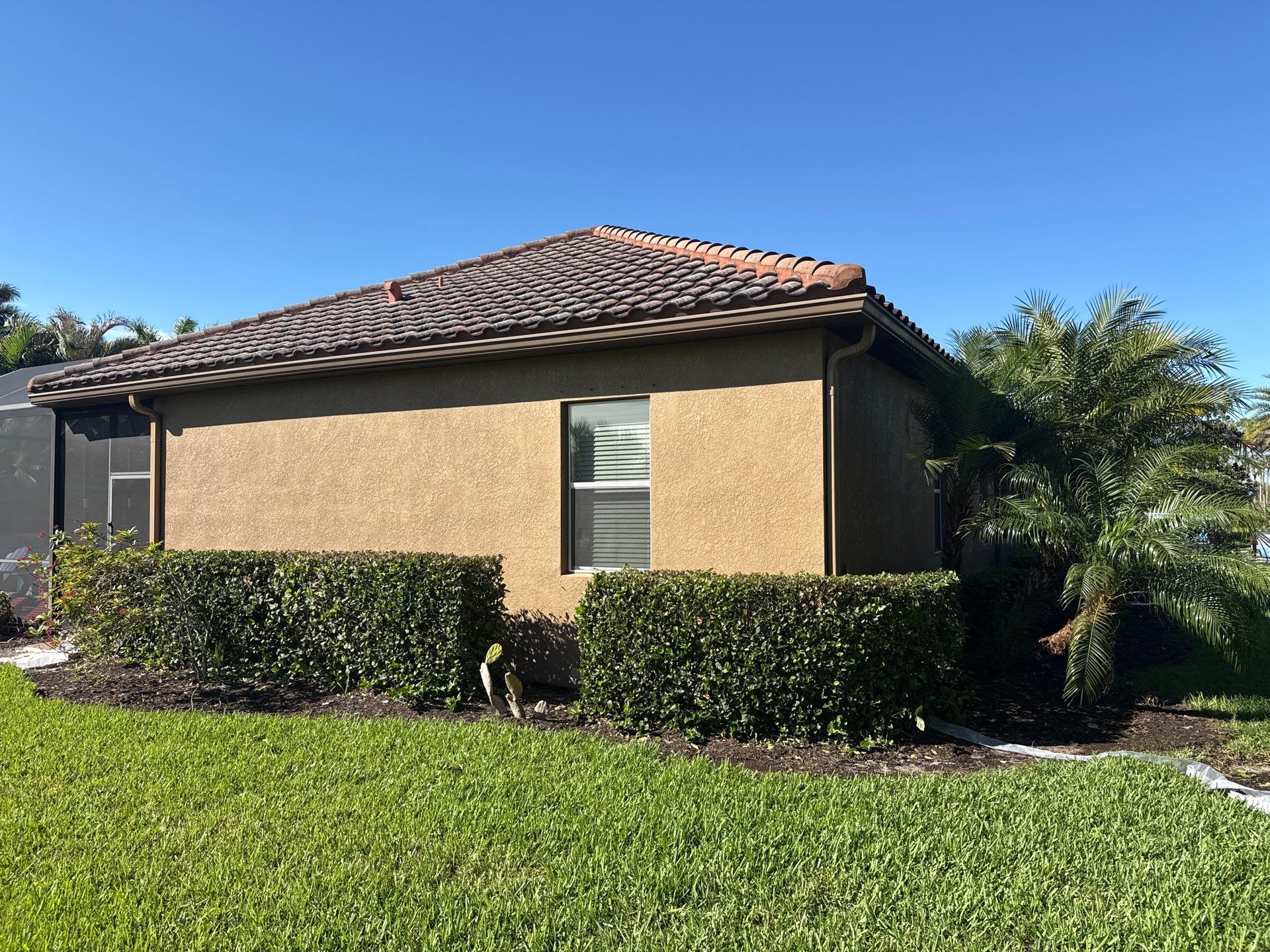 This project focused on a full gutter clean-out to restore proper water flow and prevent overflow issues.  Our scope of work included: 	•	Removing heavy leaf and pollen buildup from the gutter system 	•	Clearing out clogged sections along the rear gutters near the pool cage, where debris tends to accumulate more heavily 	•	Inspecting and cleaning the front gutter guards, which had several blocked areas restricting water flow 	•	Ensuring all downspouts and channels were flowing properly after service  Even with gutter guards installed, debris like pollen, shingle grit, and fine organic matter can still build up over time—especially in Florida’s environment. Regular maintenance helps prevent water damage, overflow, and staining on exterior surfaces.  Another thorough job completed by Sunshine AquaWash® – keeping homes protected from top to bottom. by Sunshine AquaWash