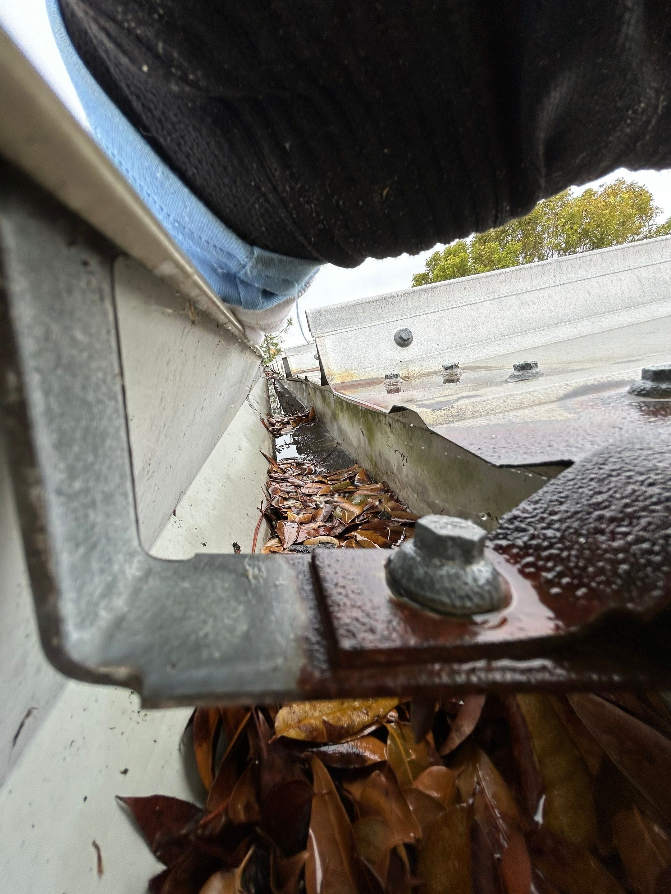 Gutter Cleaning Services in Fort Myers FL by Gutter Professors