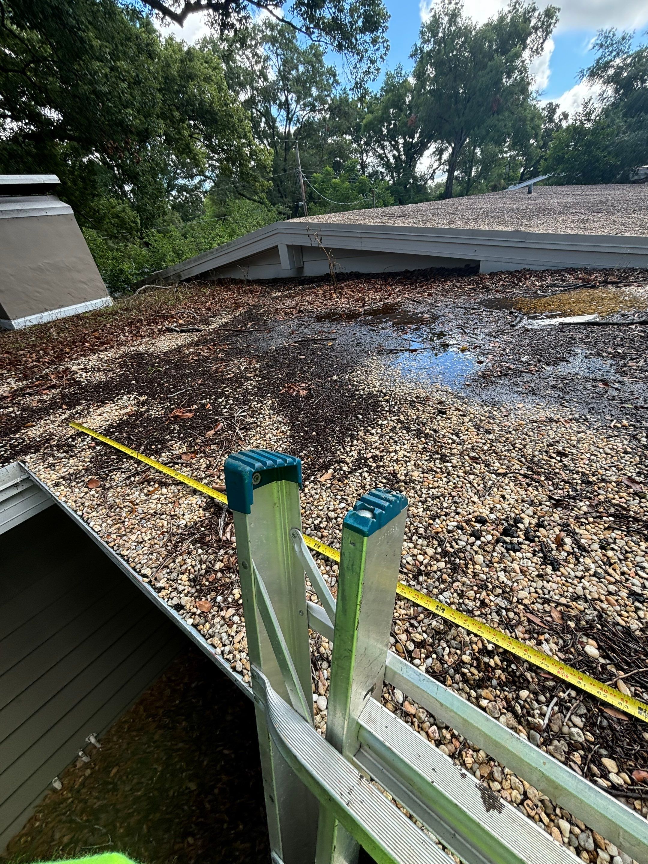 Modified Bitumane Membrane by Reimagine Roofing