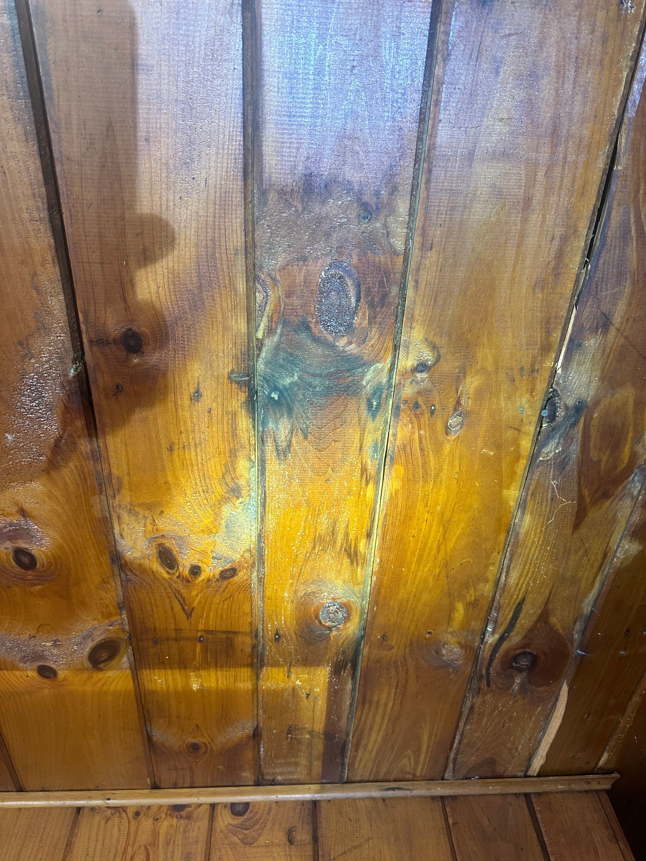 Entire Home Remediation by Home Guarantee, LLC