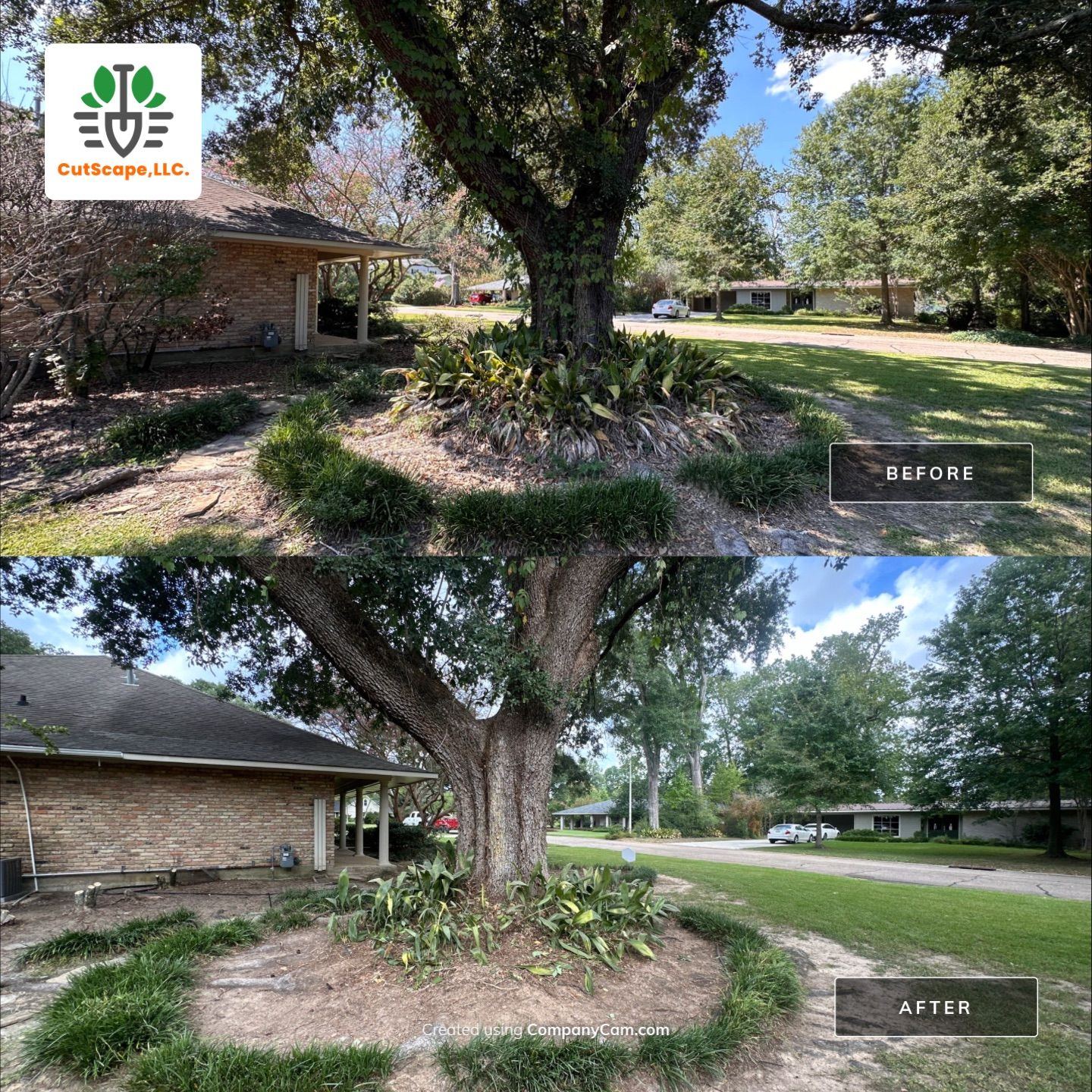 HERBICIDE / CLEAN OUT / TRIM / BRUSH DEBRIS REMOVAL using BRUSH REMOVAL / PROPERTY CLEAN UP LABOR by CutScape, LLC.