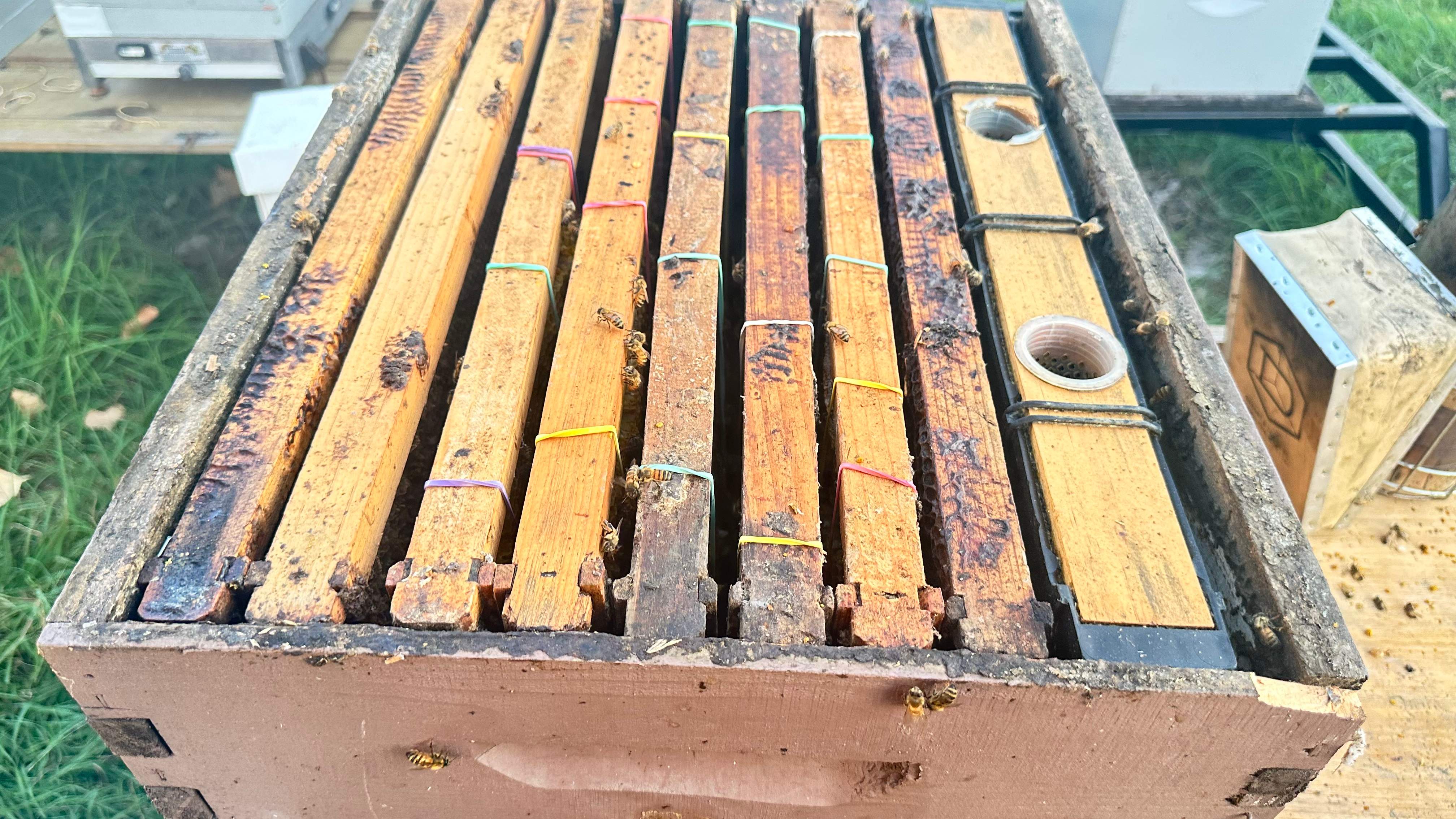 McSoffit by Rockwall Honey Bee Company