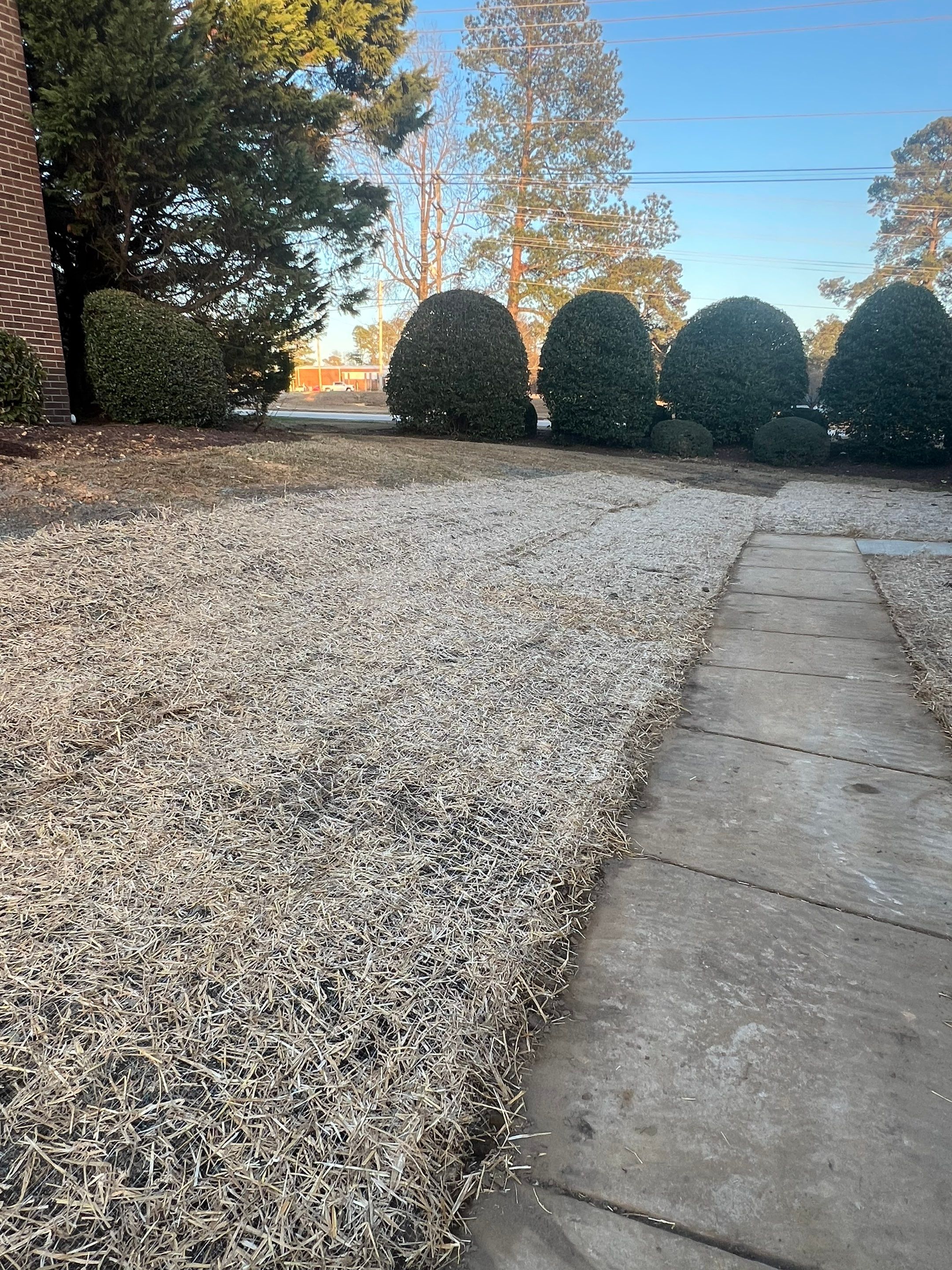 Private Water Main Repair & Site Drainage – Forest Hills Manor by S.W. Contracting & Consulting