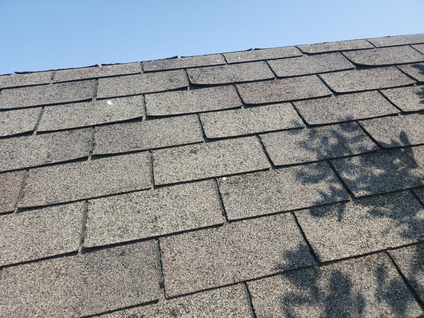 Residential Roofing Installation using GAF Shingles in Havre, MT by swagg construction