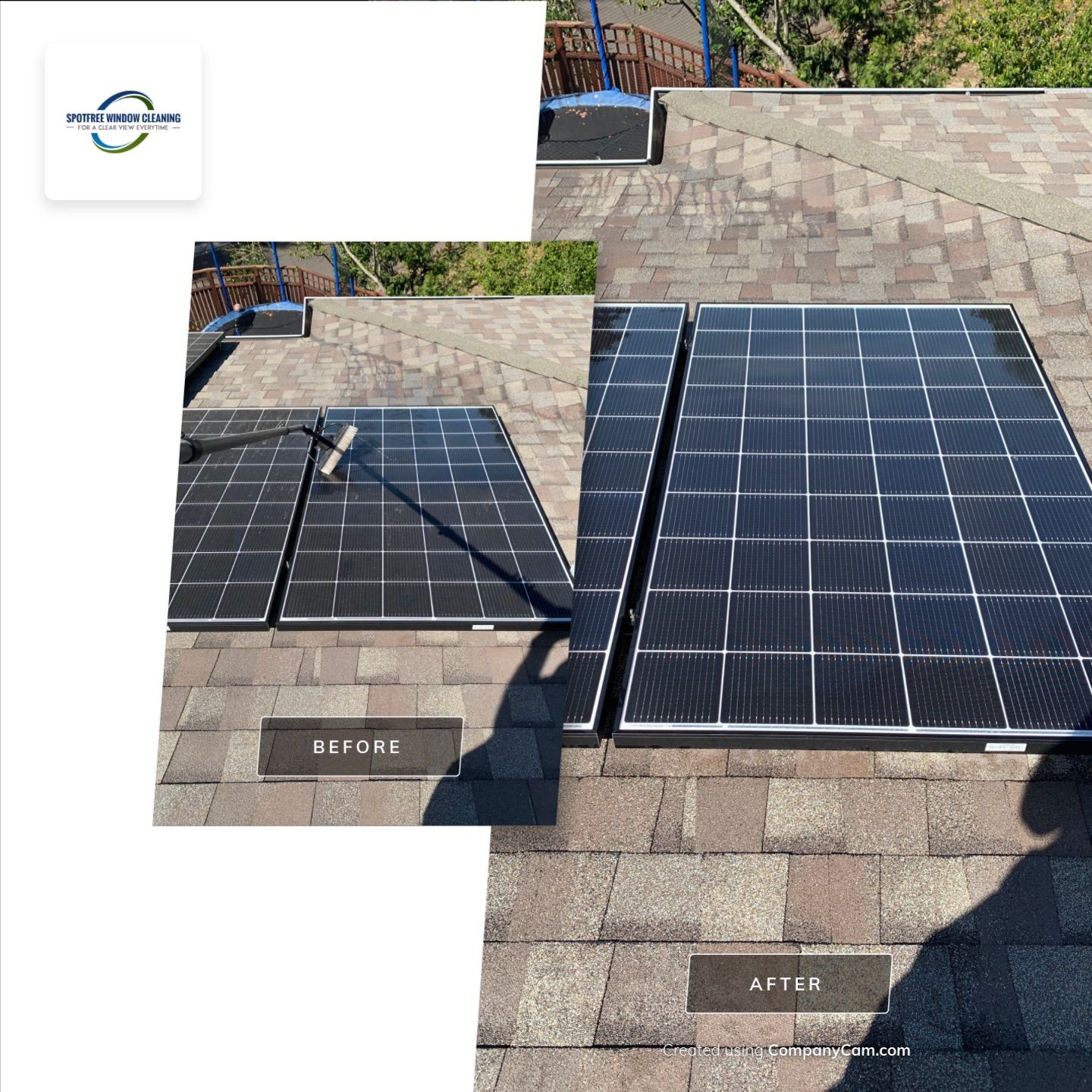 Bernadette Ryan-Leduc by SpotFree Window Cleaning