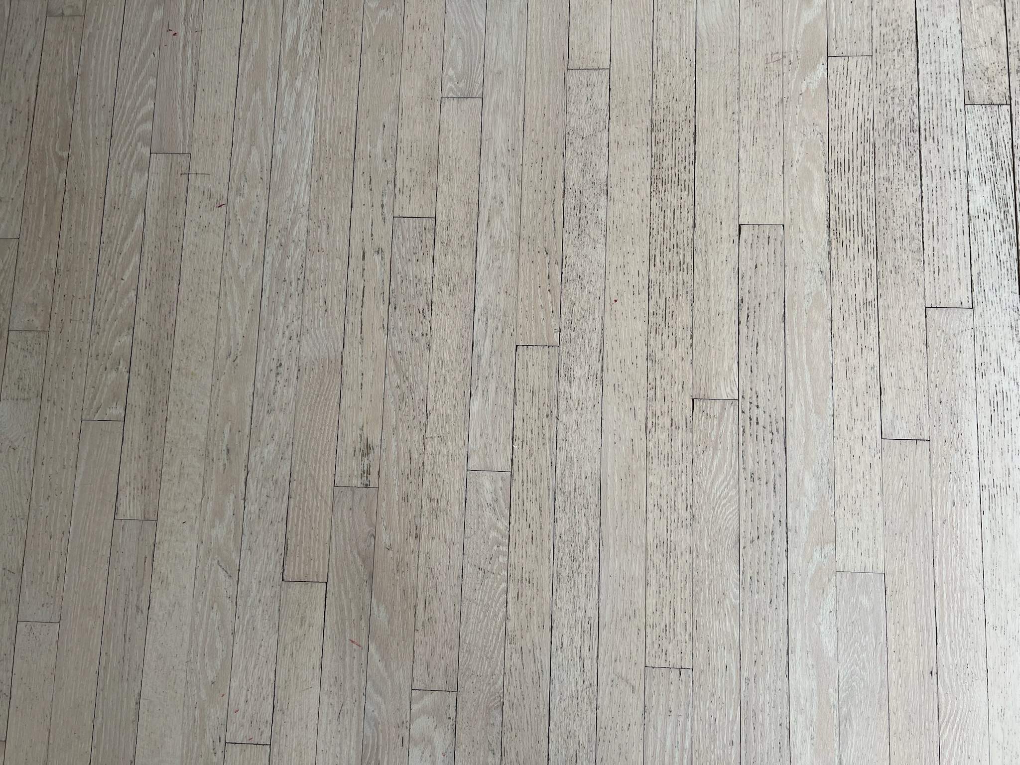 Carpet to Classic by Ann Arbor Hardwoods