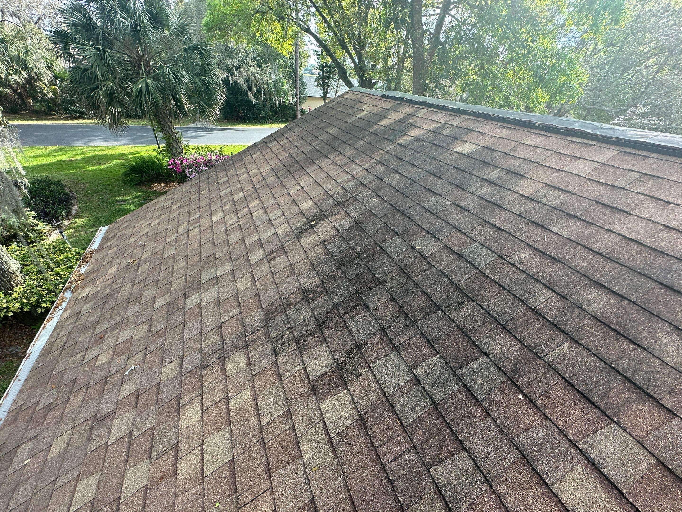 Project in Longwood by Bright Green Roof Central Florida