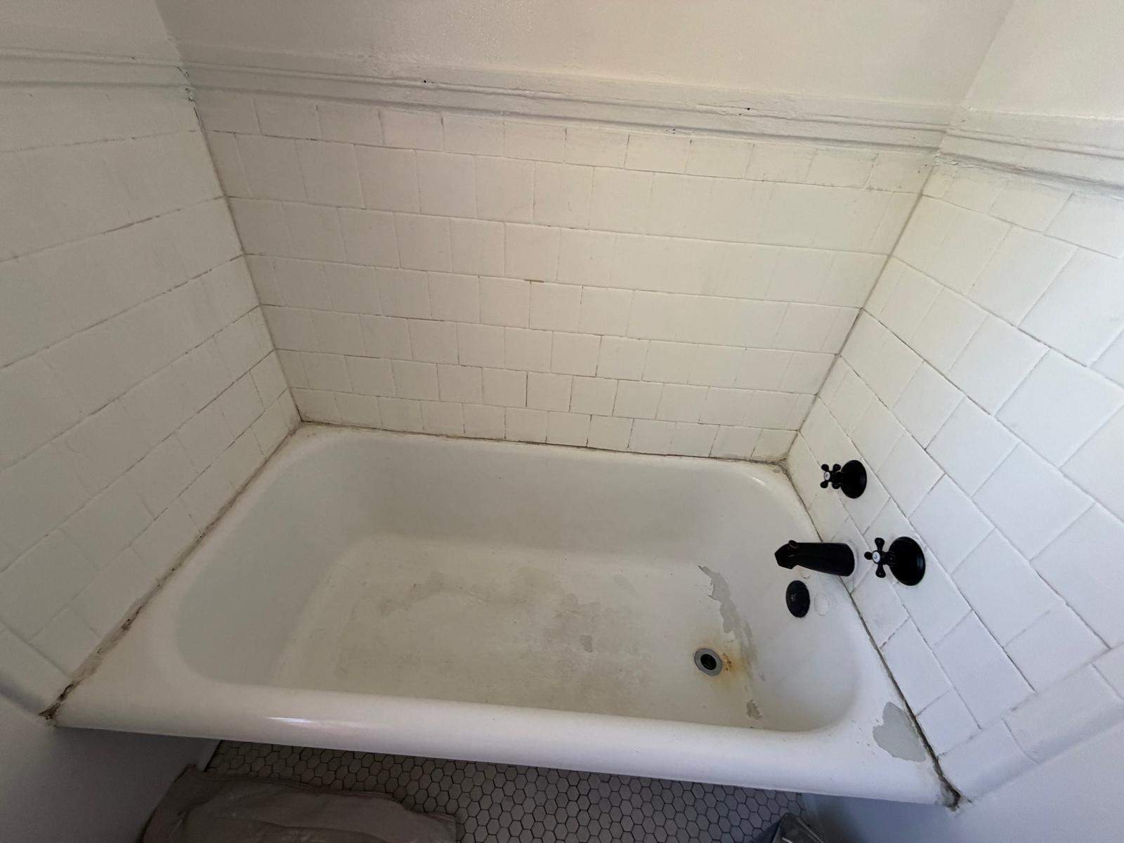 Bathtub renovation  by Alpha and Omega Pro Services