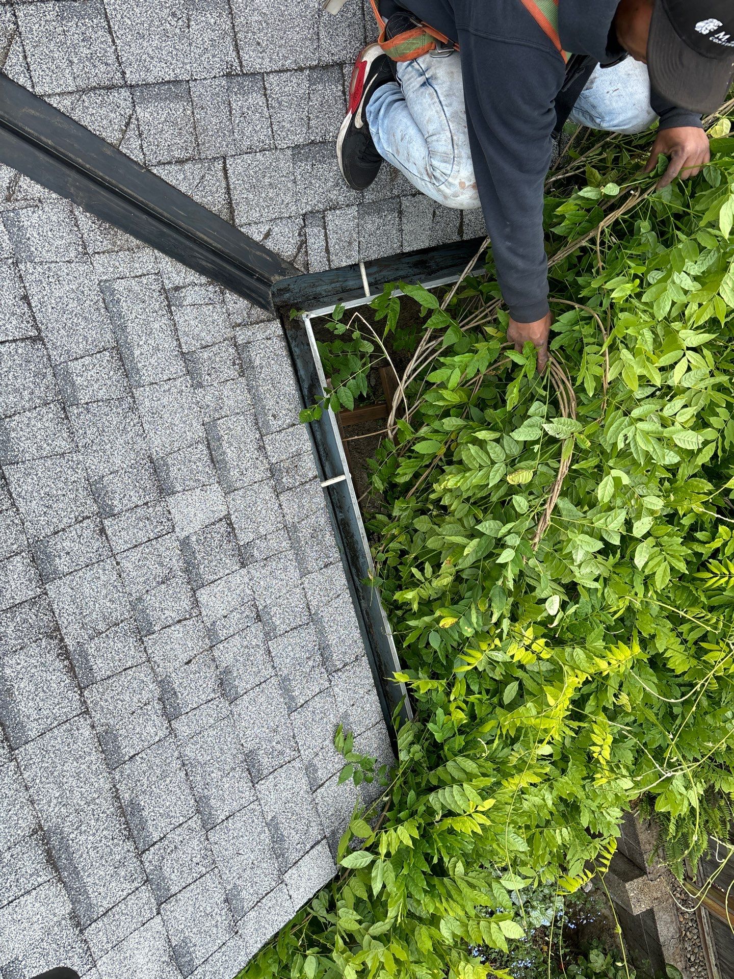 Roof Insurance Repairs in Portland by Prodigy Roof Solutions