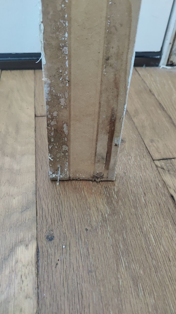 Mold Remediation  by Accountable Home Services