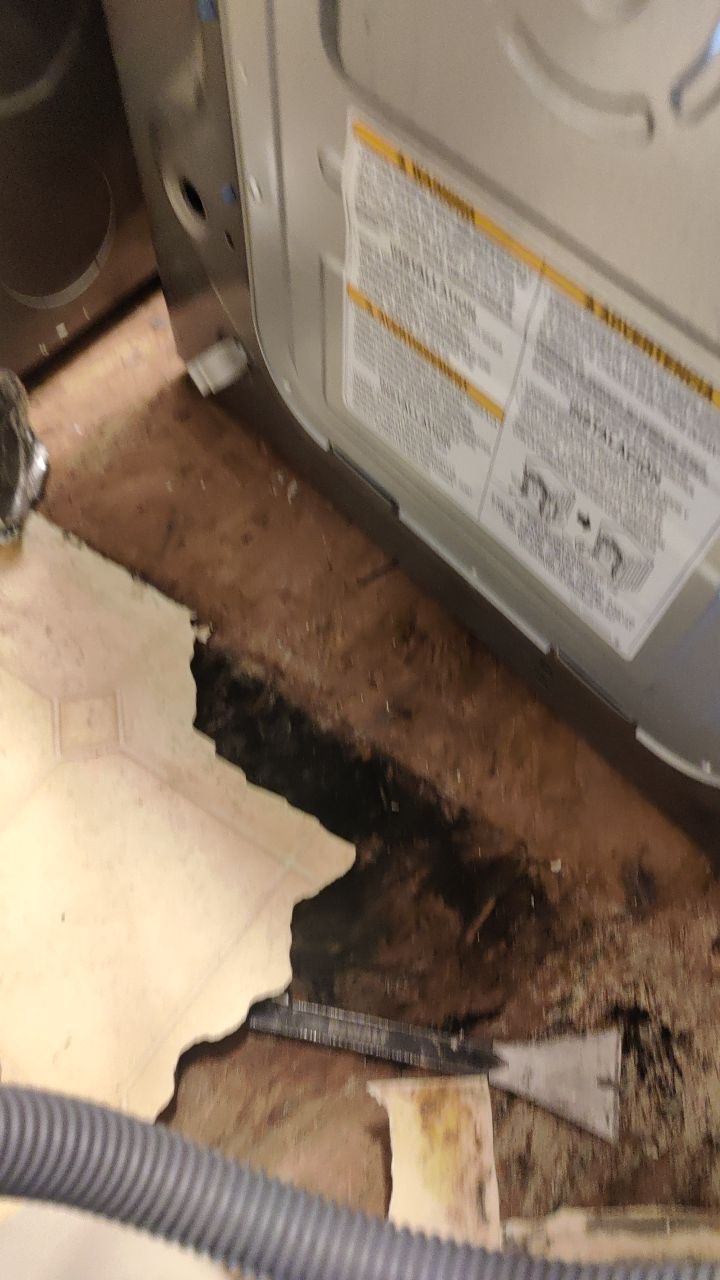 Water Damage  by Accountable Home Services