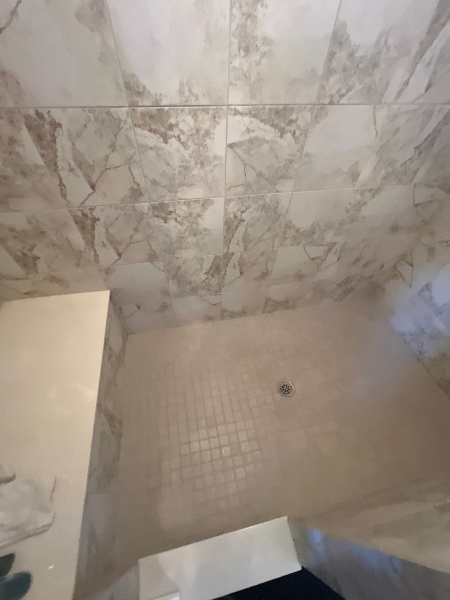 Large Onyx Shower by The Shower Company