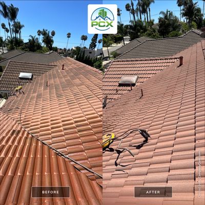 Full Service Roof Maintenance Starts with Powerwash