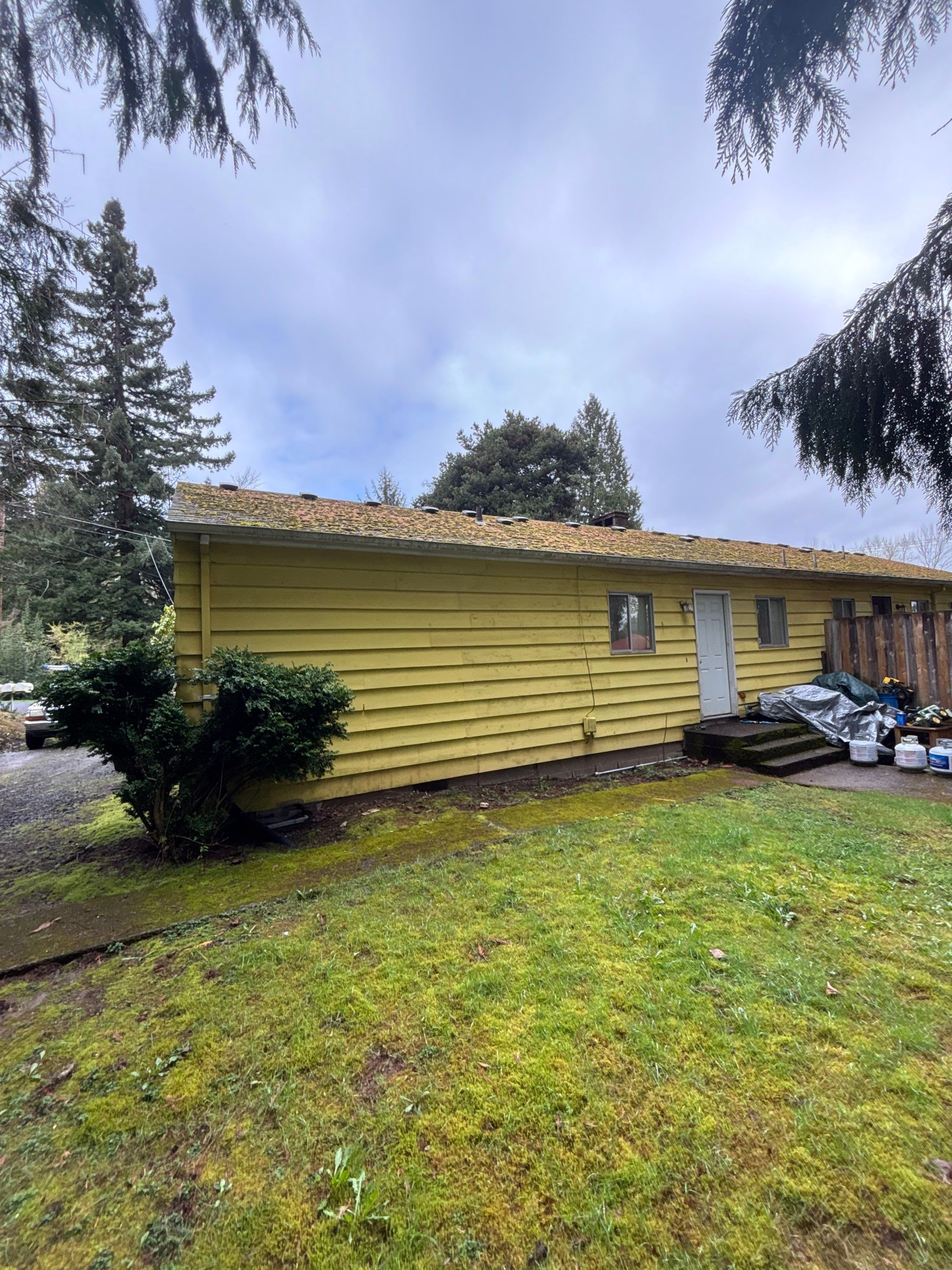 Roof Maintenance in West Linn by Prodigy Roof Solutions