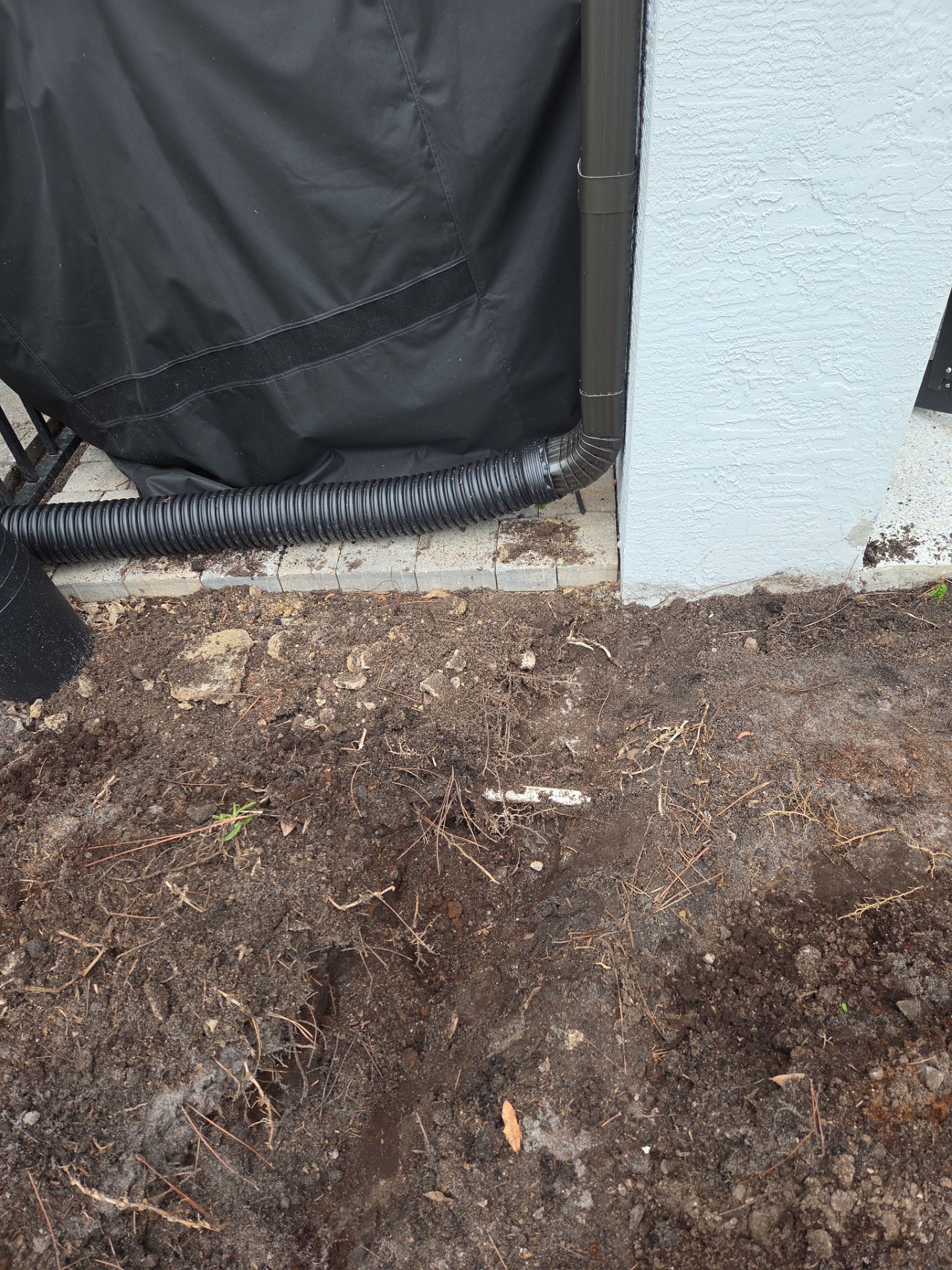 🌱 Magnolia Ridge Lawn Refresh by Alpha Zeta Enterprises Inc