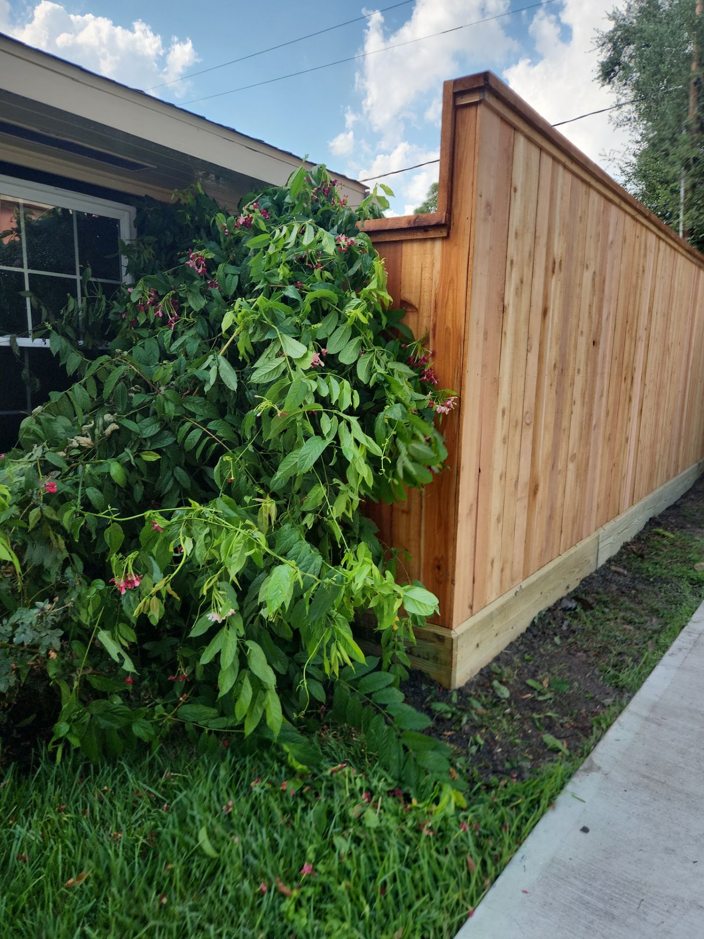 8ft Tall wood fence installation by Tim's Fences