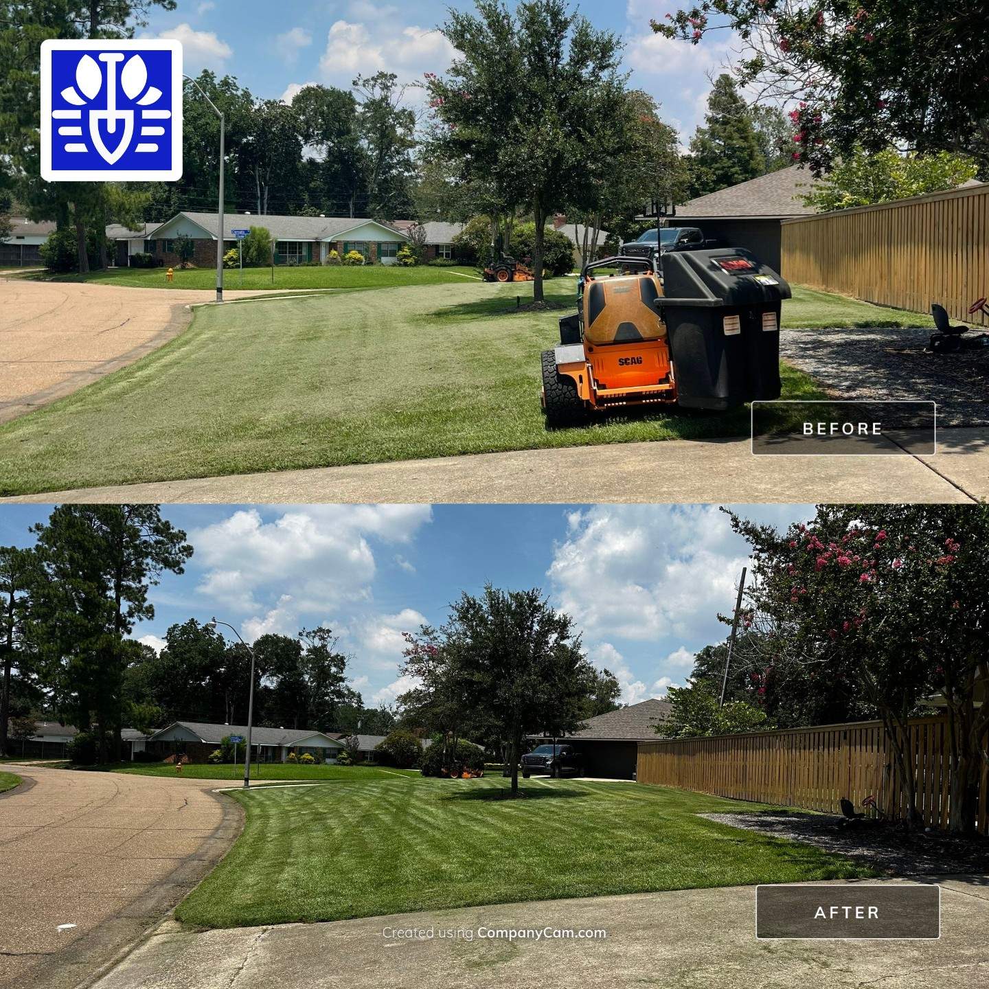 RESIDENTIAL LAWN MAINTENANCE: *OPTIONAL* VAC & BAG GRASS CLIPPINGS AND DEBRIS WITH SCAG GRASS CATCHERBAGGING GRASS CLIPPINGS AND DEBRIS WITH SCAG GRASS CATCHER by CutScape, LLC.