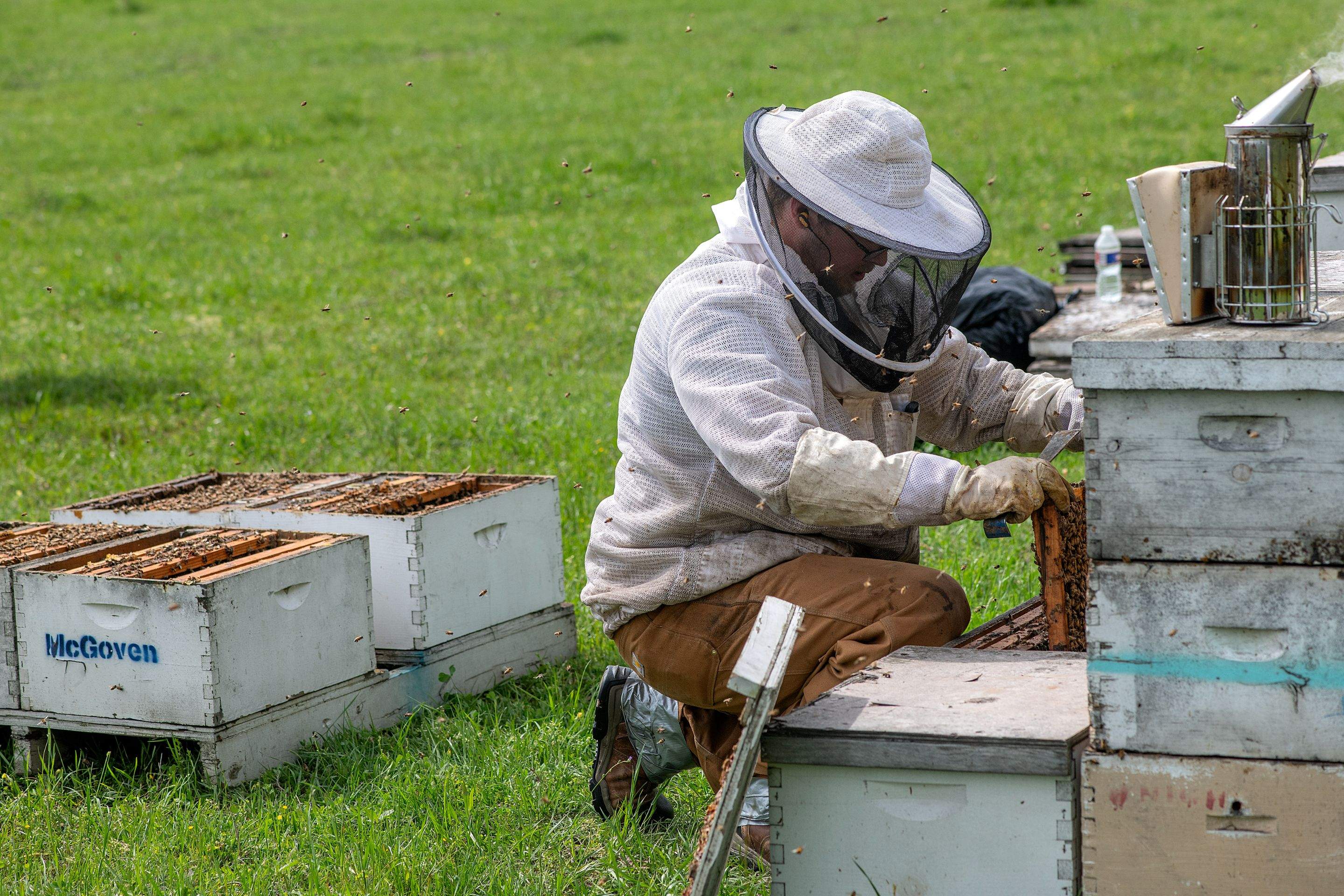 Splits in East Texas by Rockwall Honey Bee Company