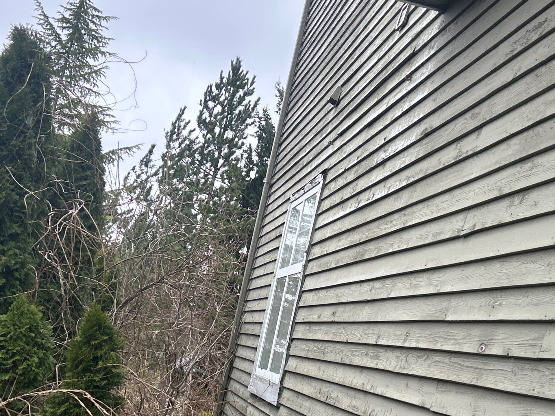 Project in Bellevue by Connolly Construction Company